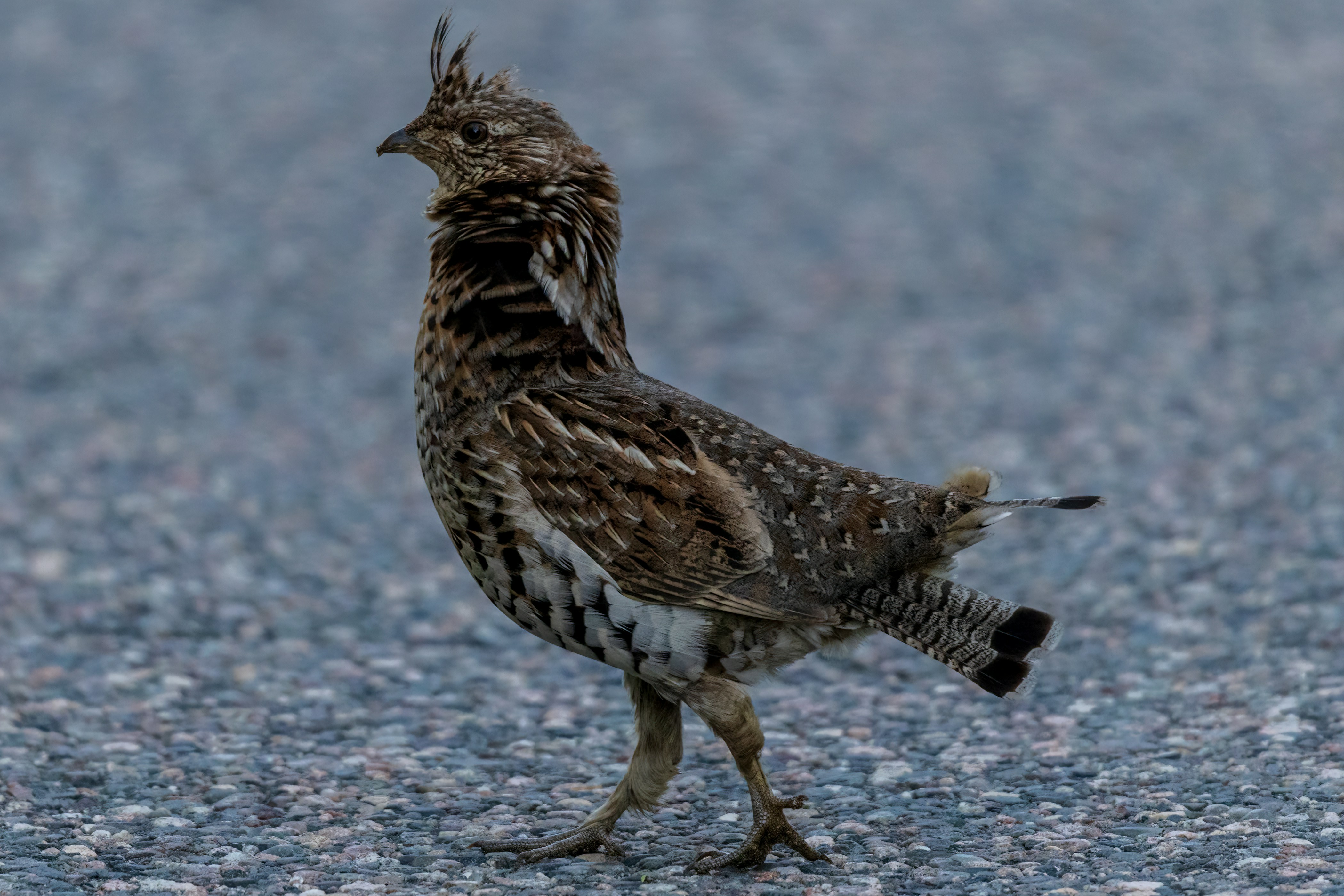 Photo by camerauthor