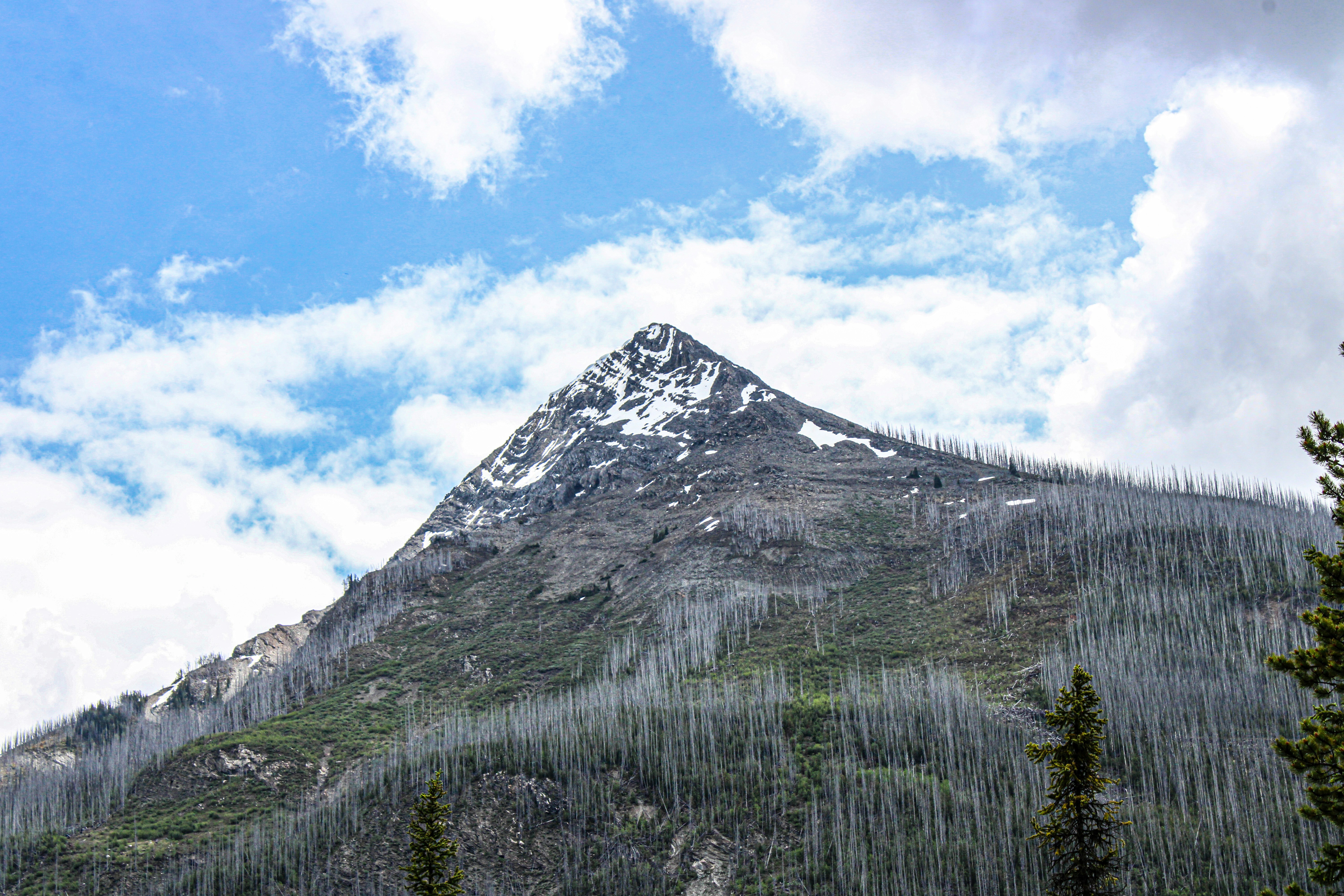 Photo by prphotography262