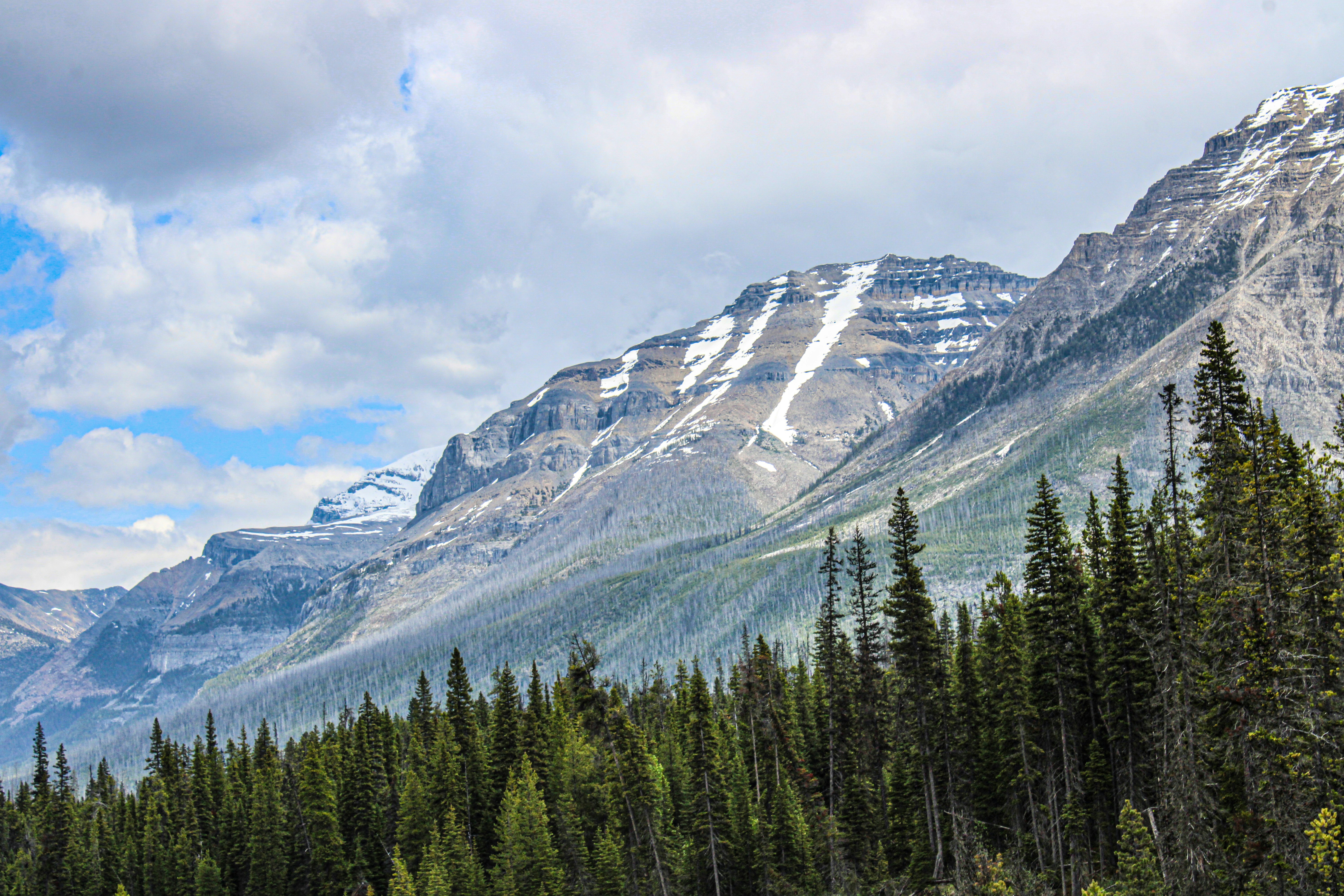 Photo by prphotography262