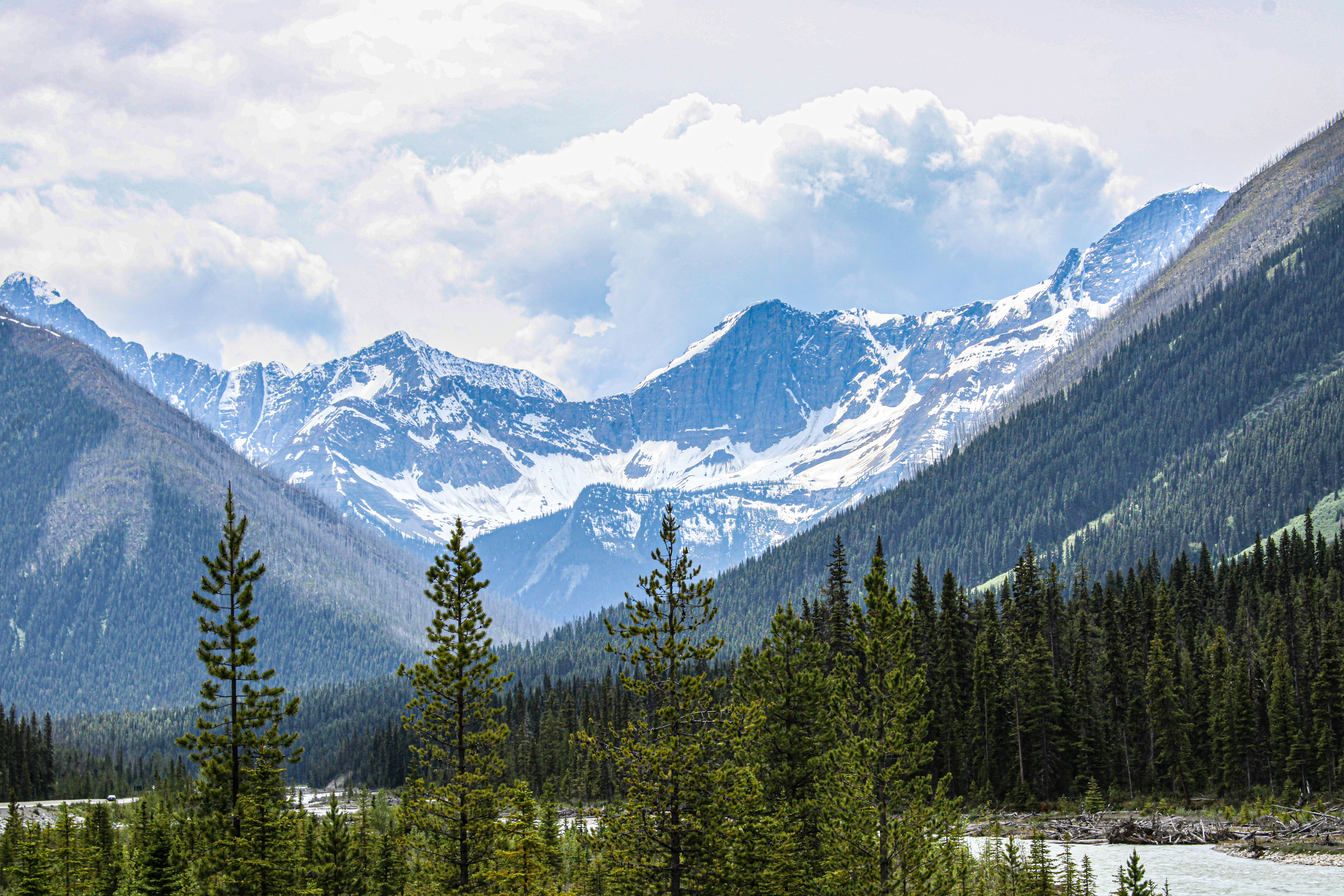 Photo by prphotography262