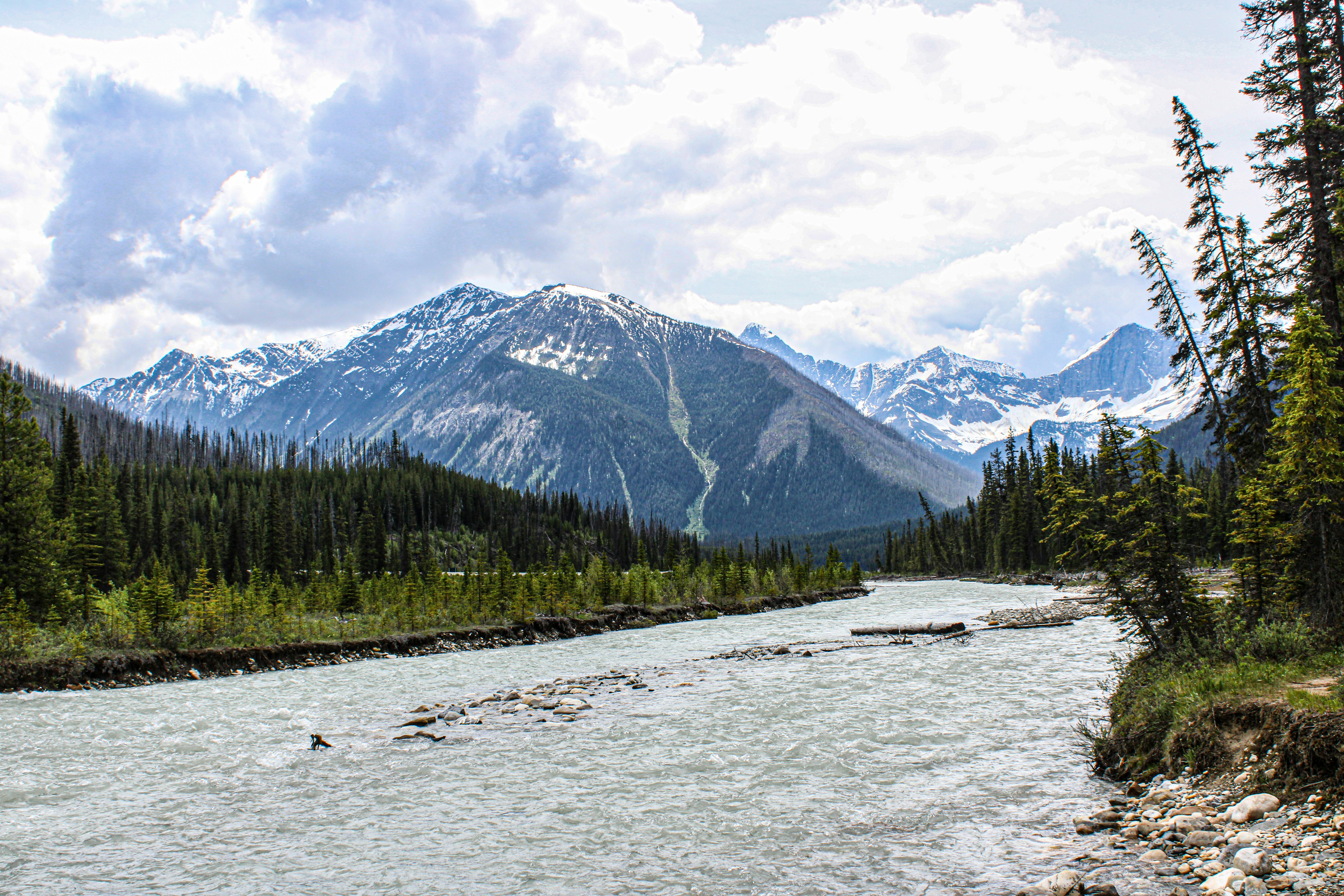 Photo by prphotography262