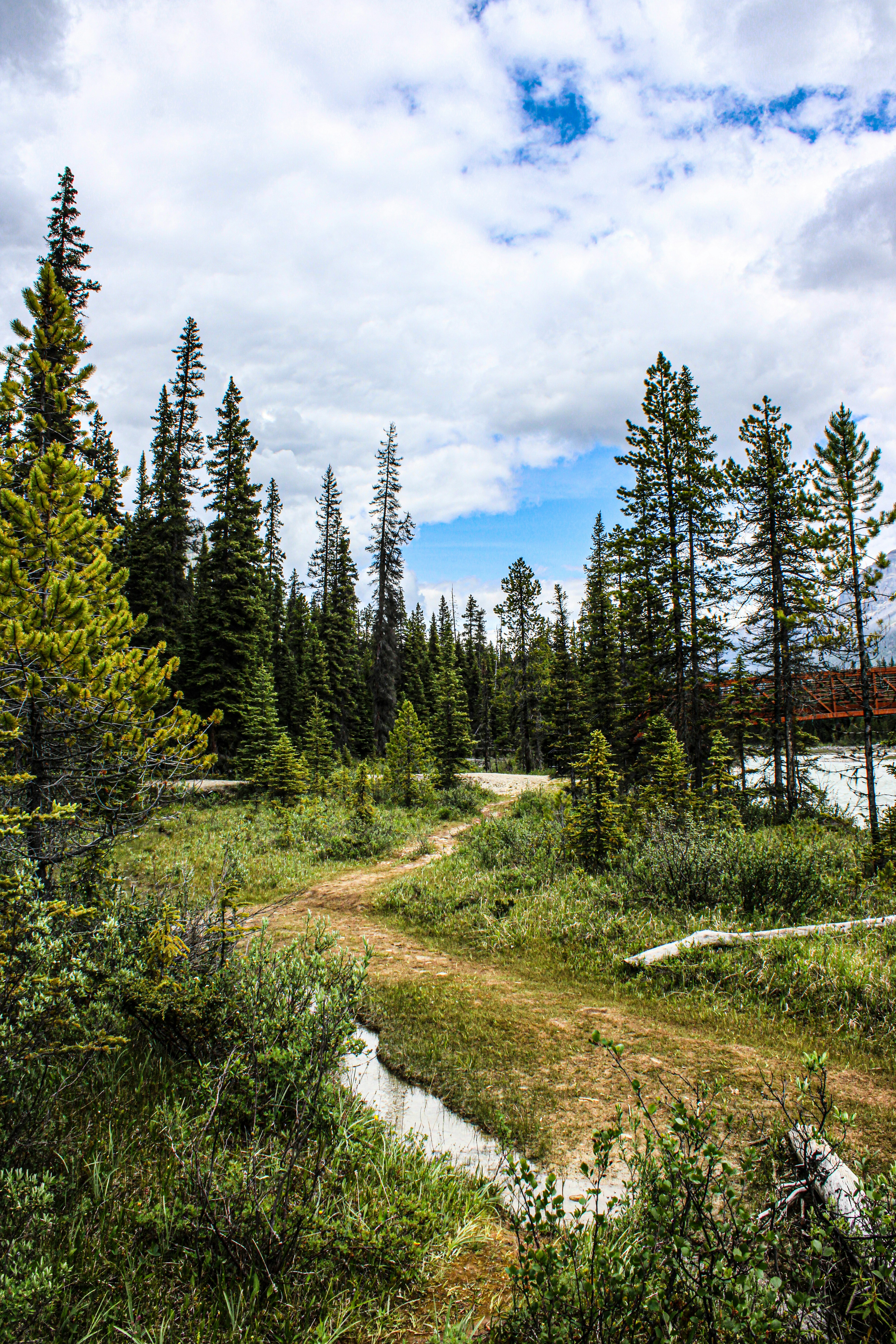 Photo by prphotography262