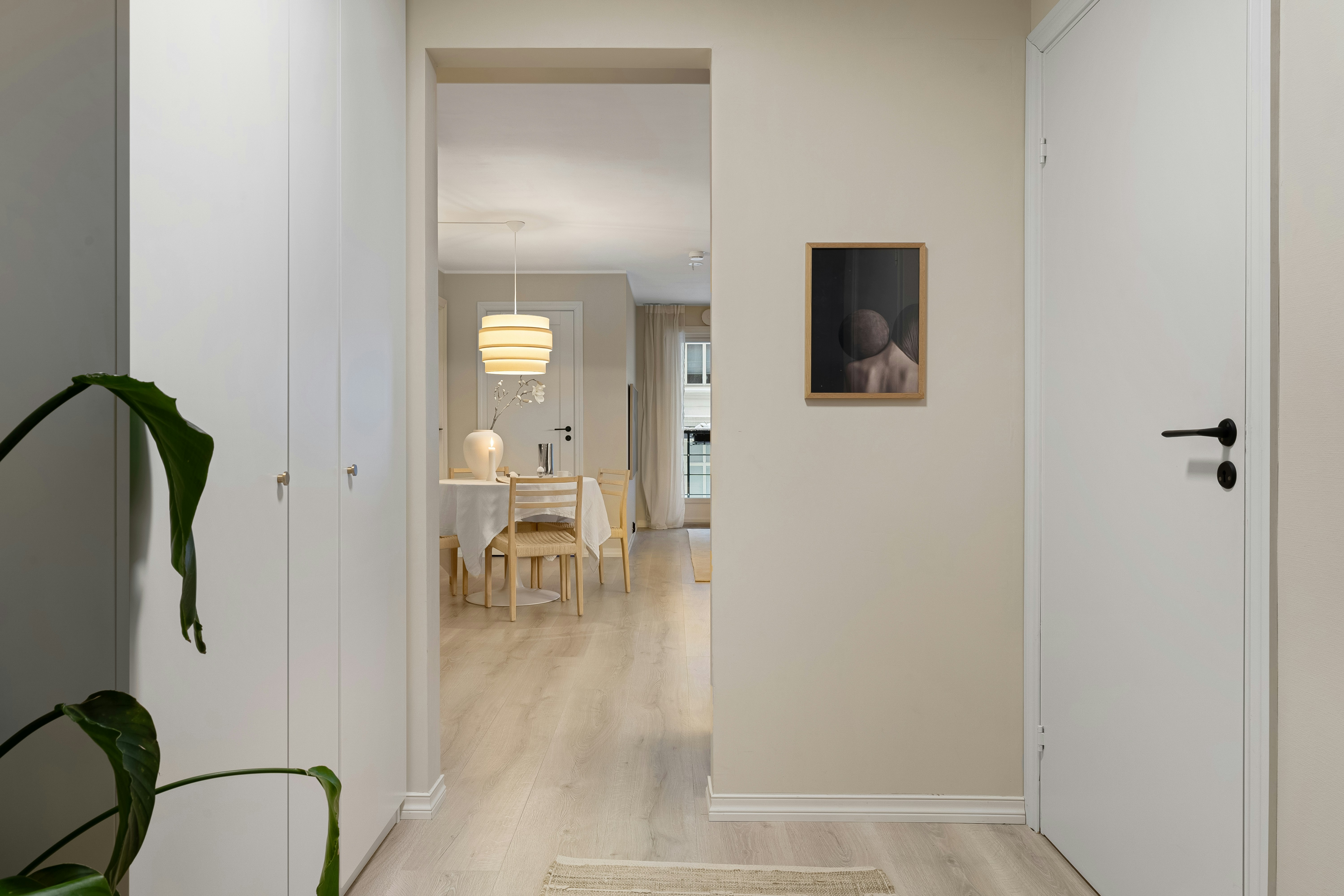 A white hallway with a plant in the corner
