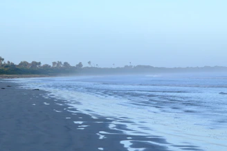 A blurry photo of a beach and a body of water