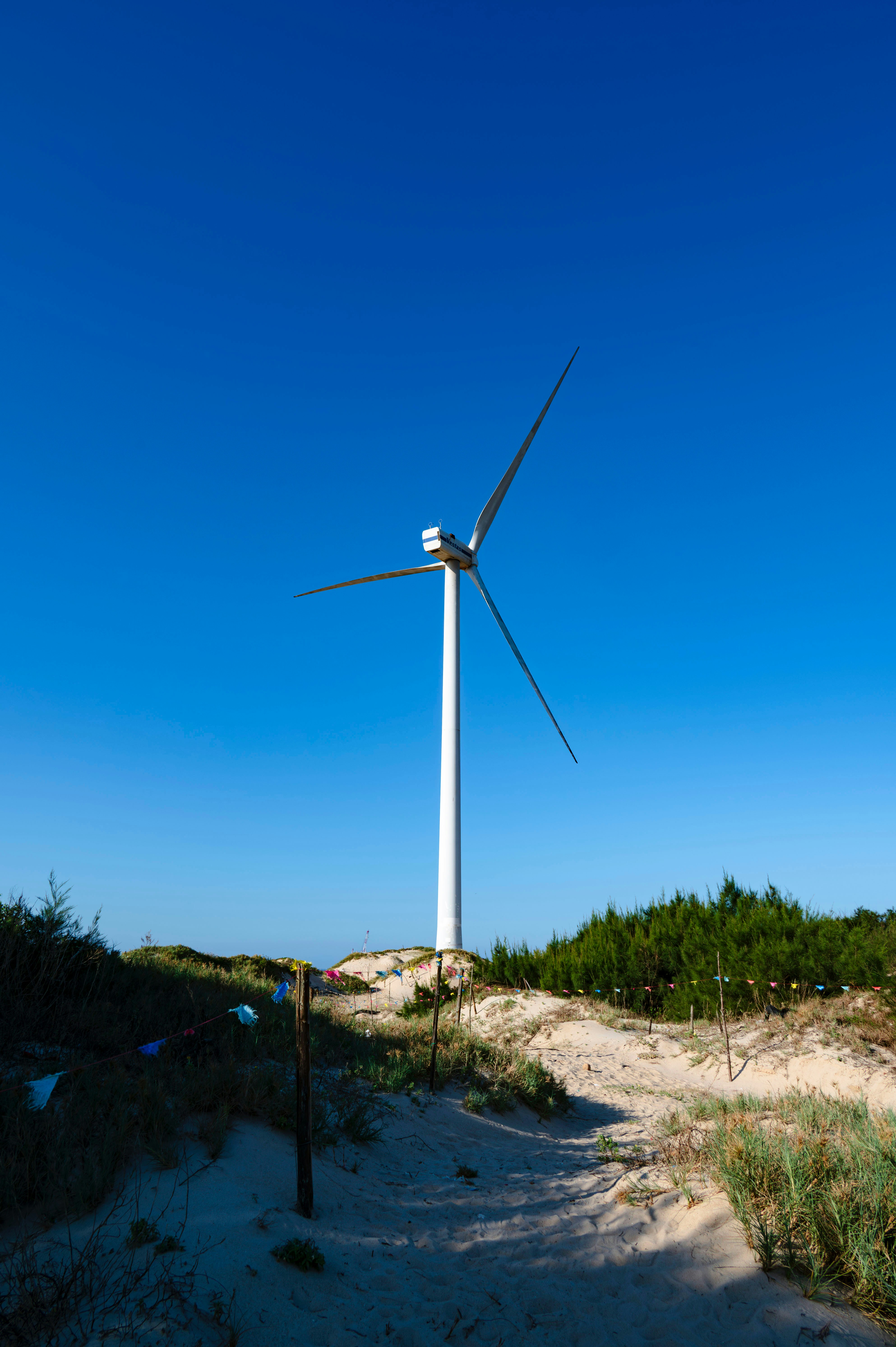 Photo by excellentcx