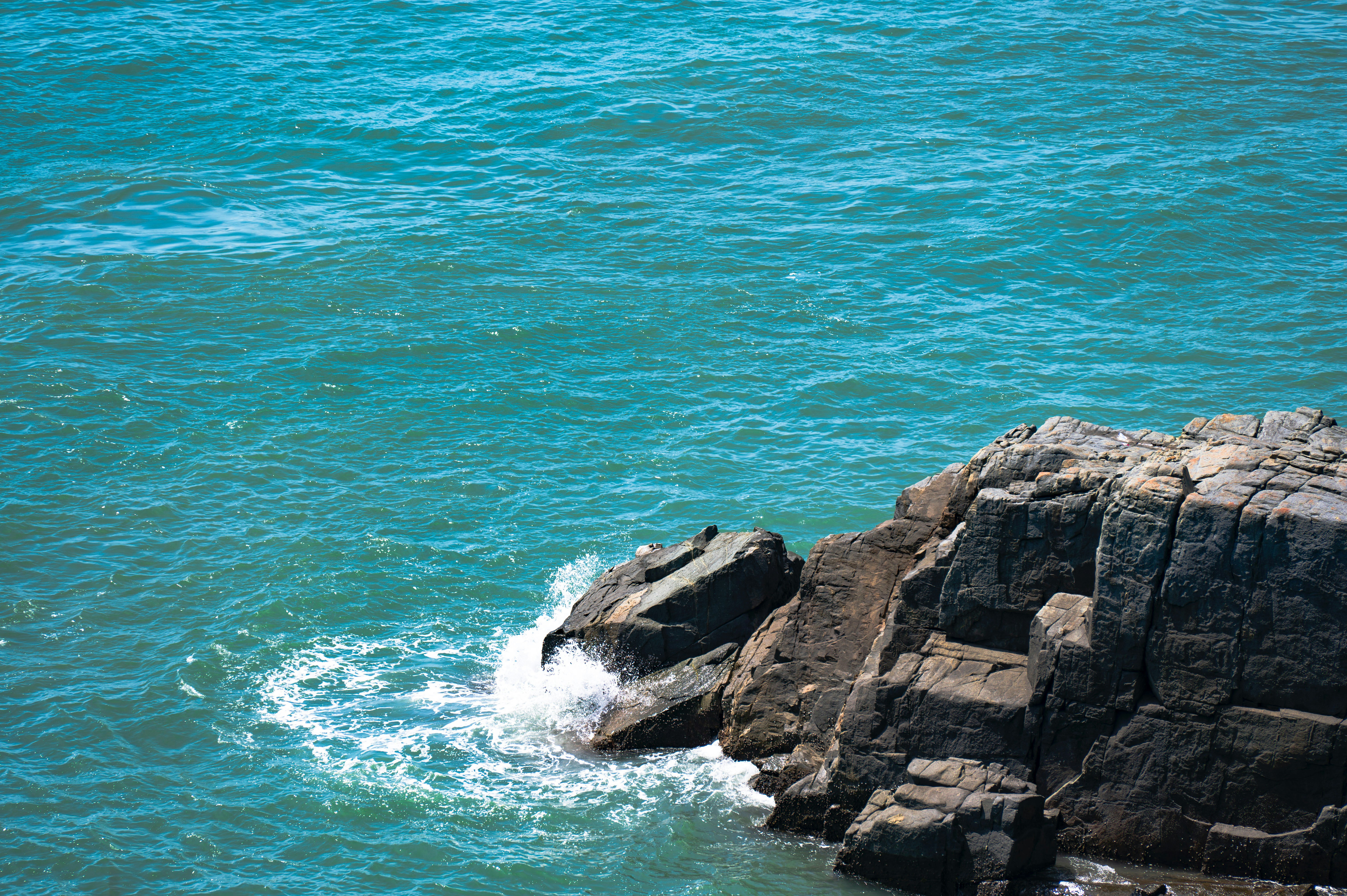 Photo by excellentcx