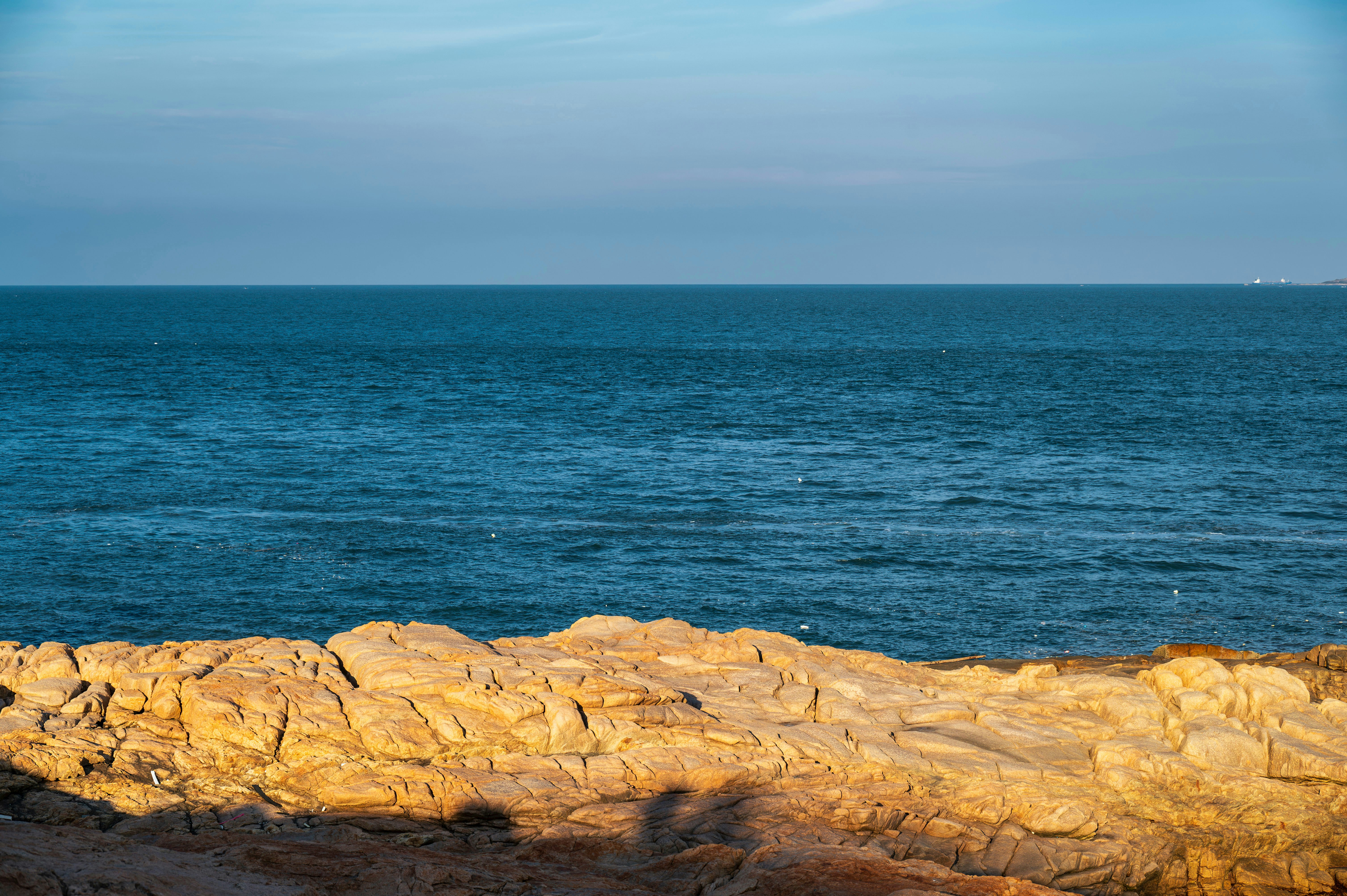 Photo by excellentcx