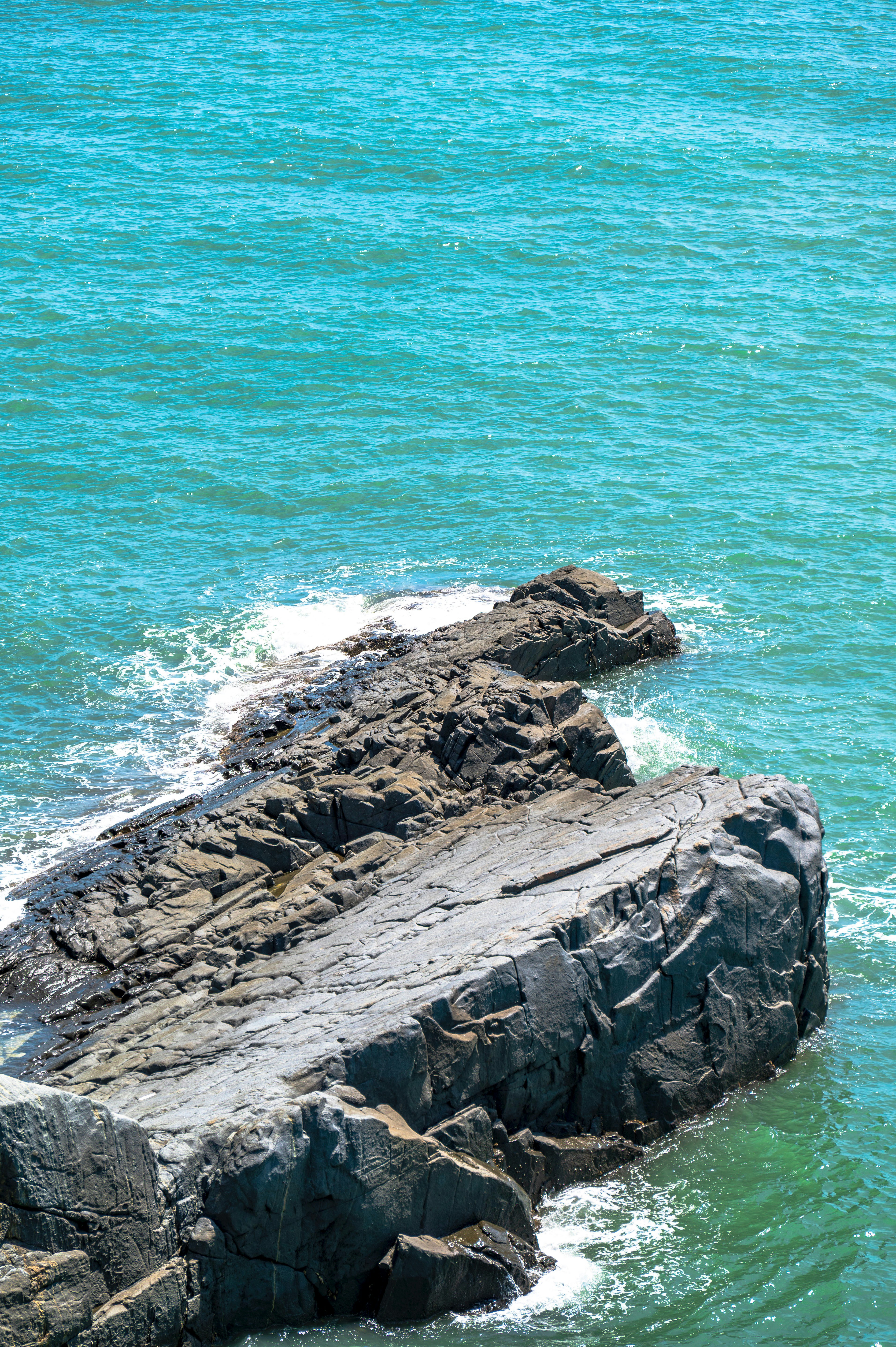 Photo by excellentcx