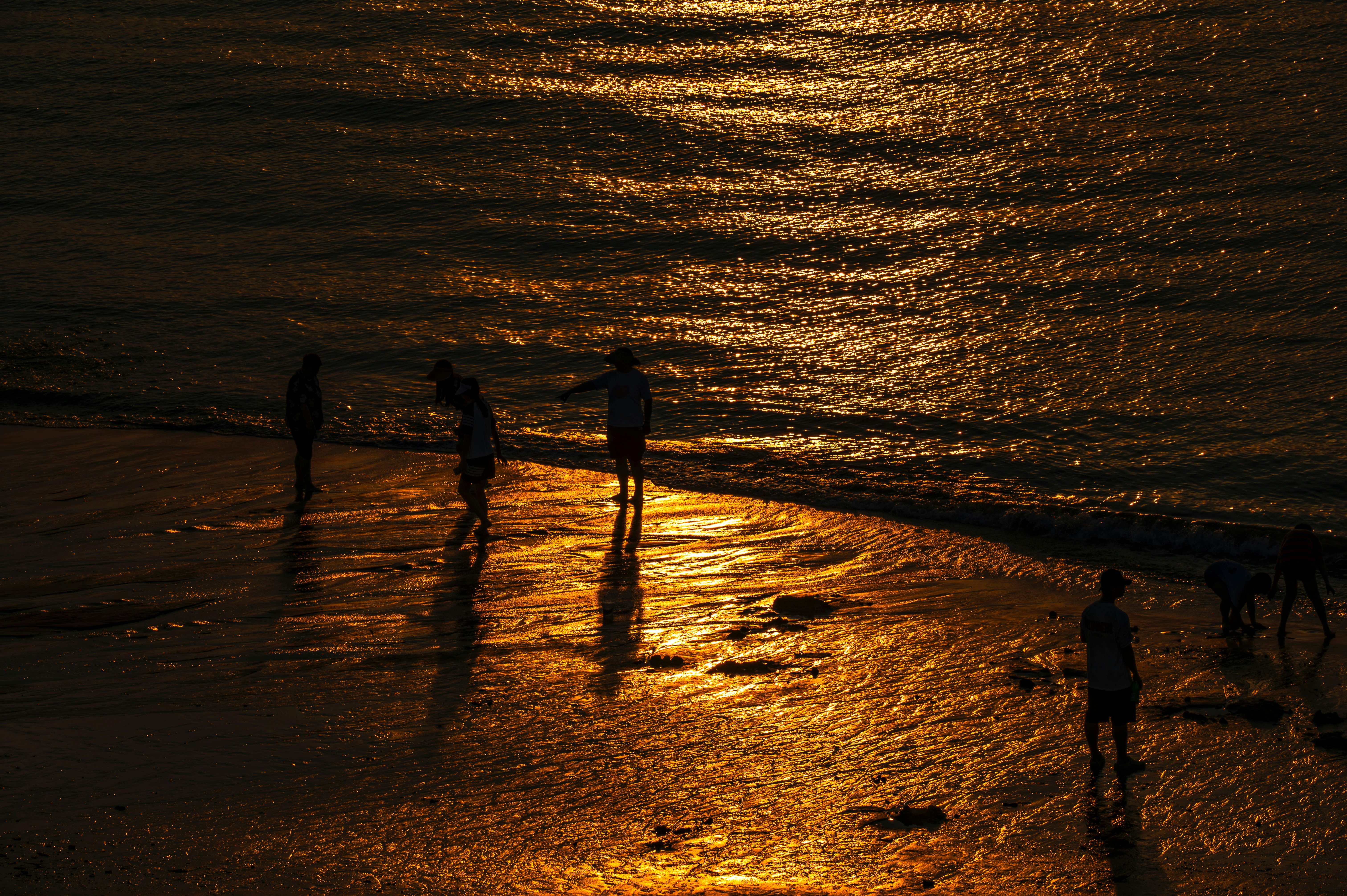 Photo by excellentcx