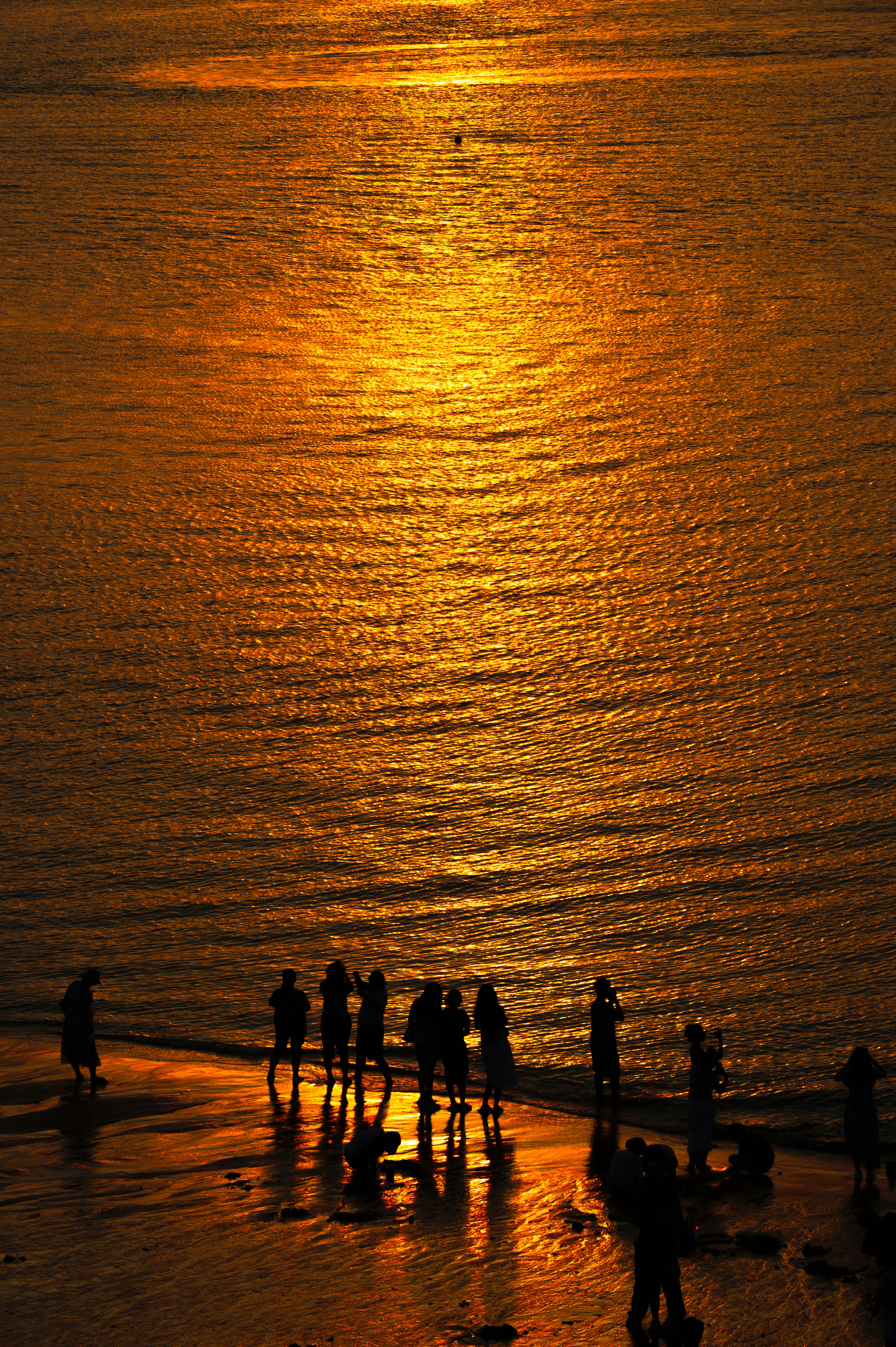 Photo by excellentcx