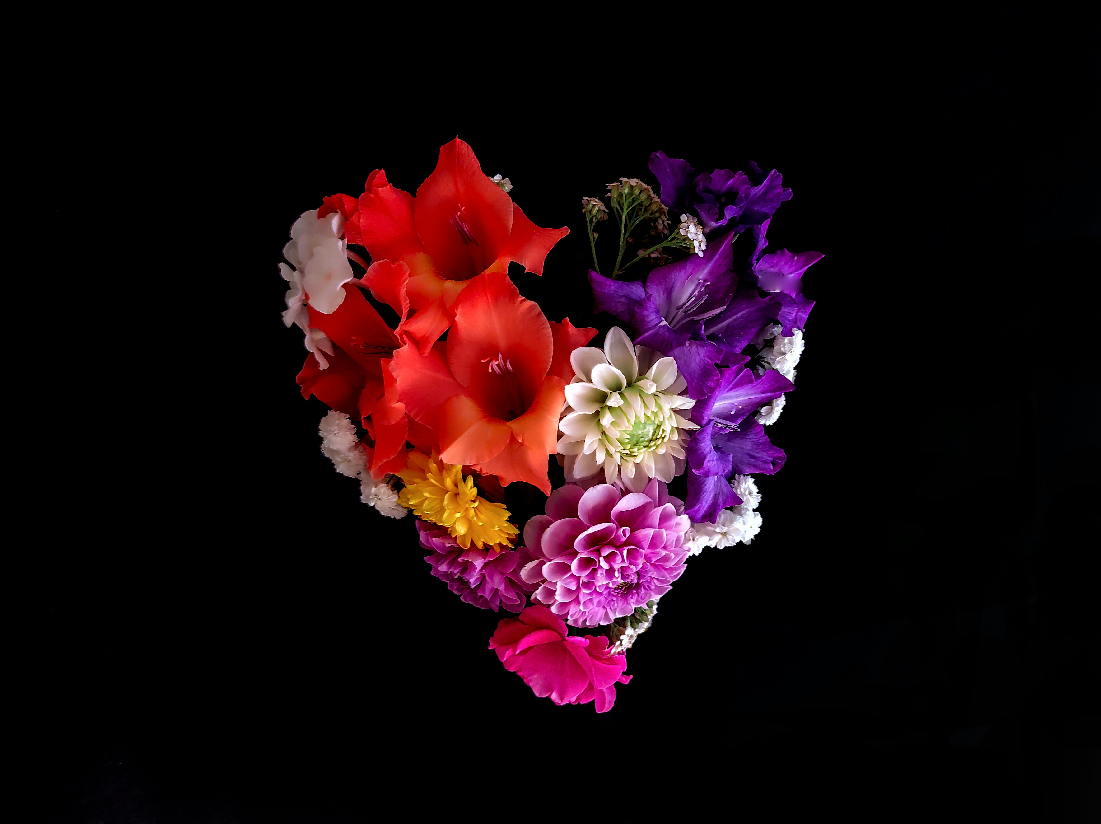 A bouquet of colorful flowers on a black background