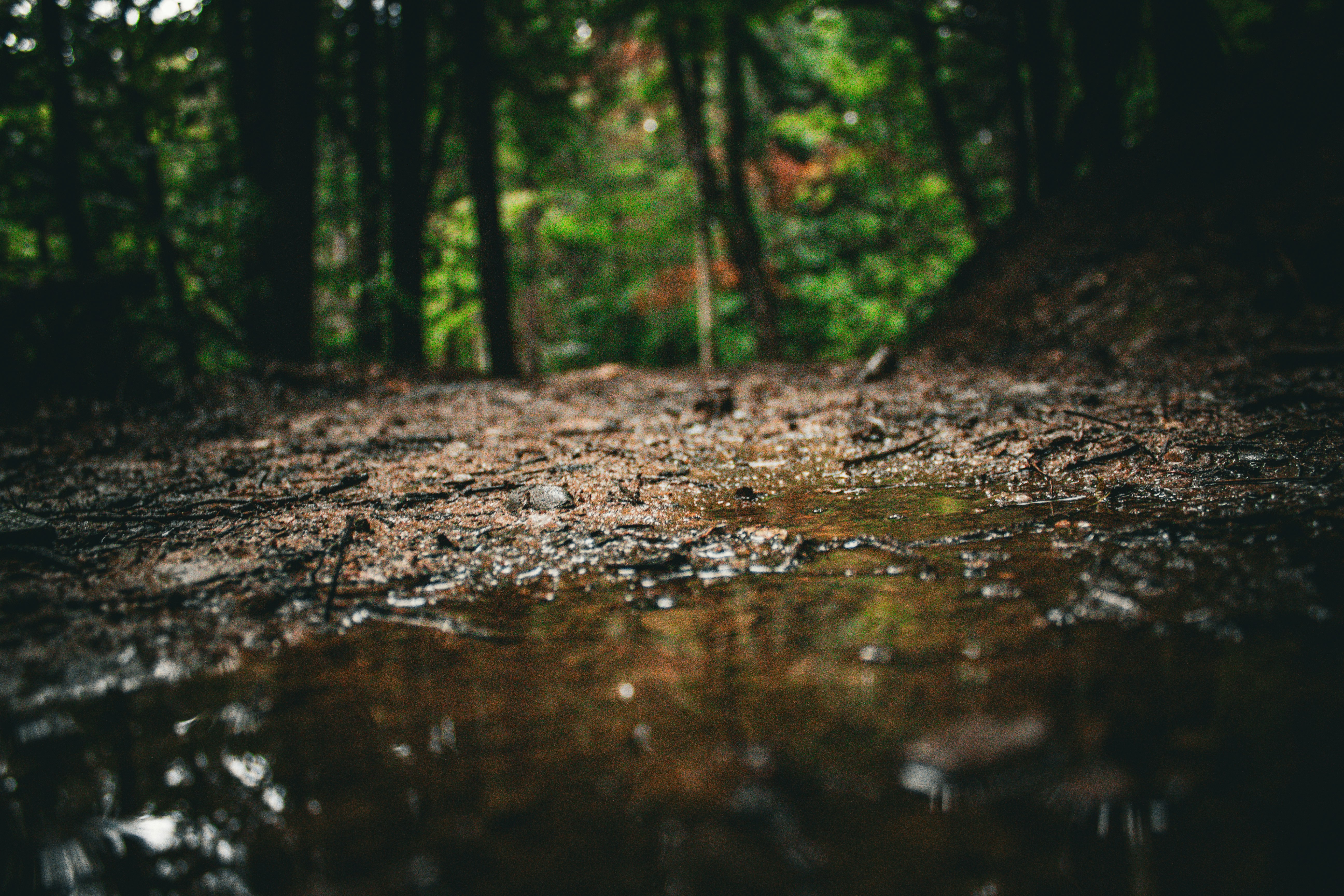 Photo by richiemortis