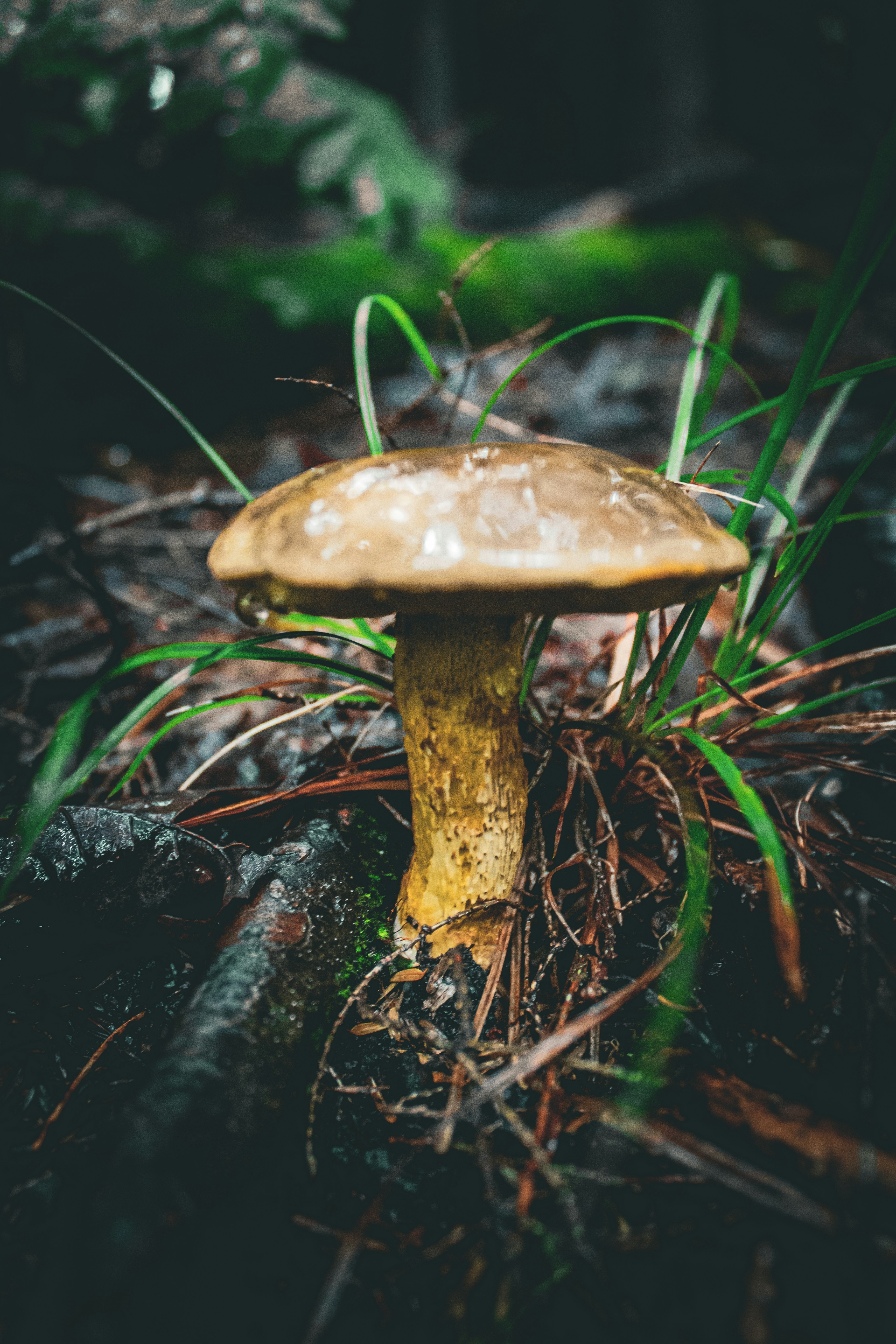 Photo by richiemortis