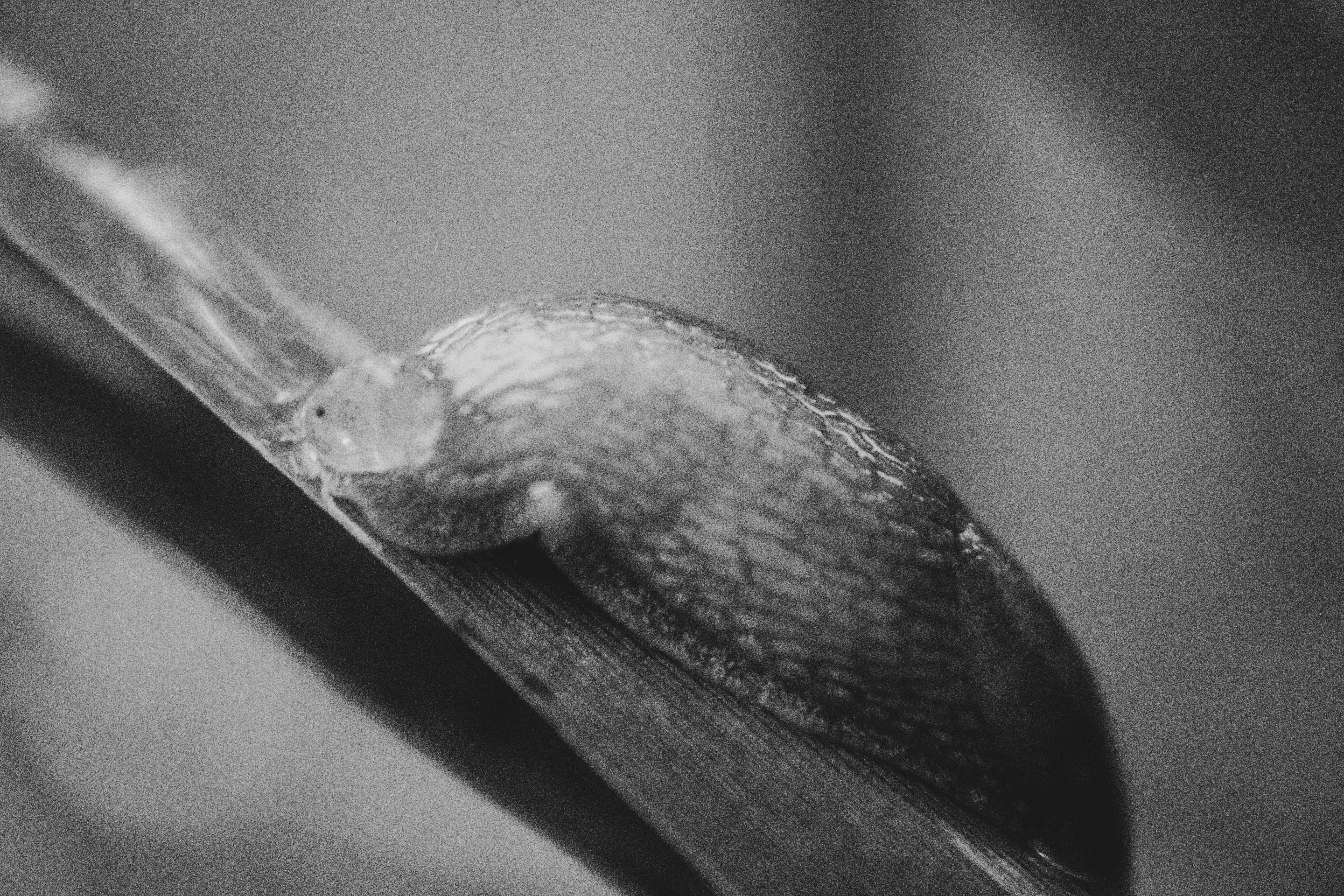 Photo by richiemortis