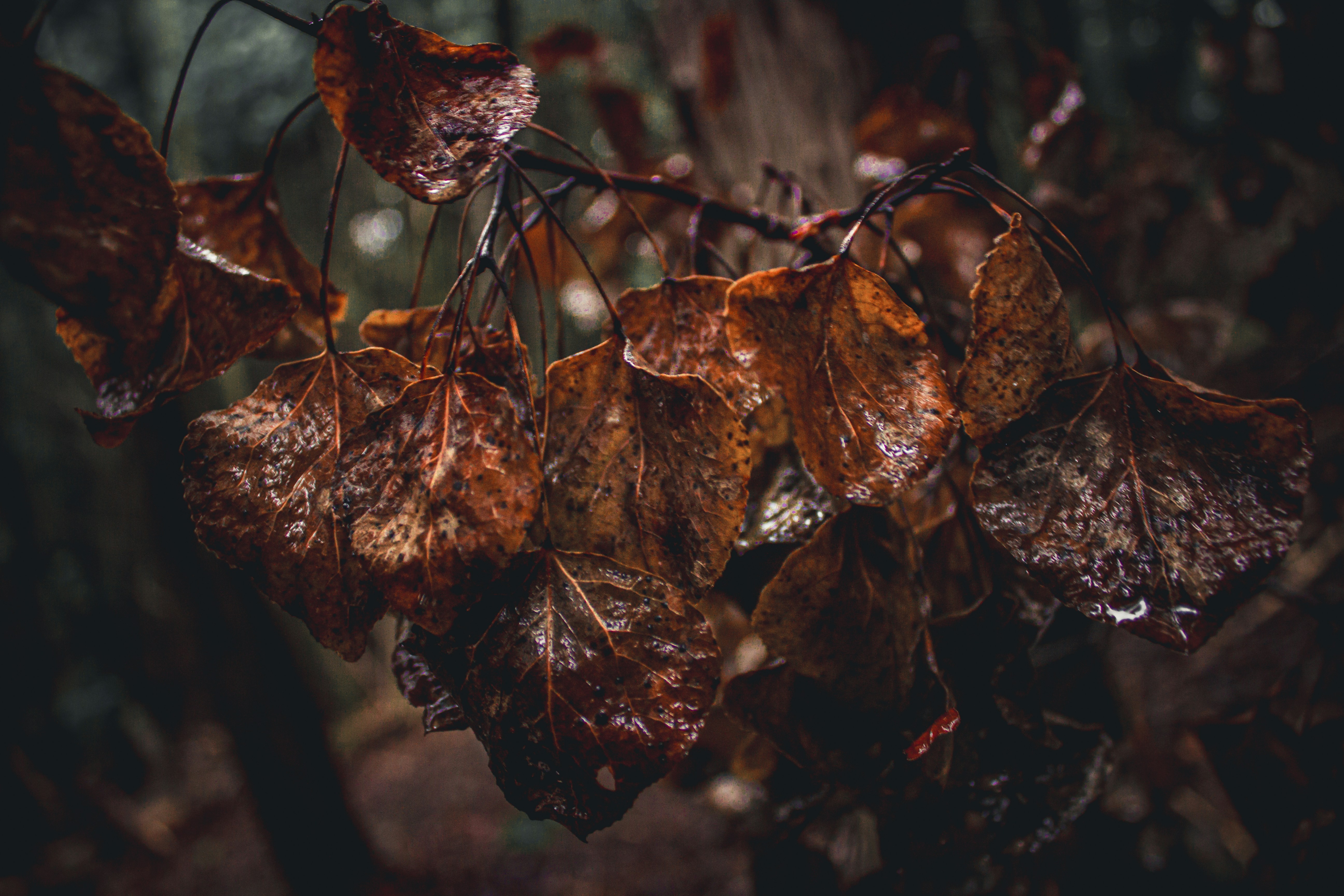 Photo by richiemortis