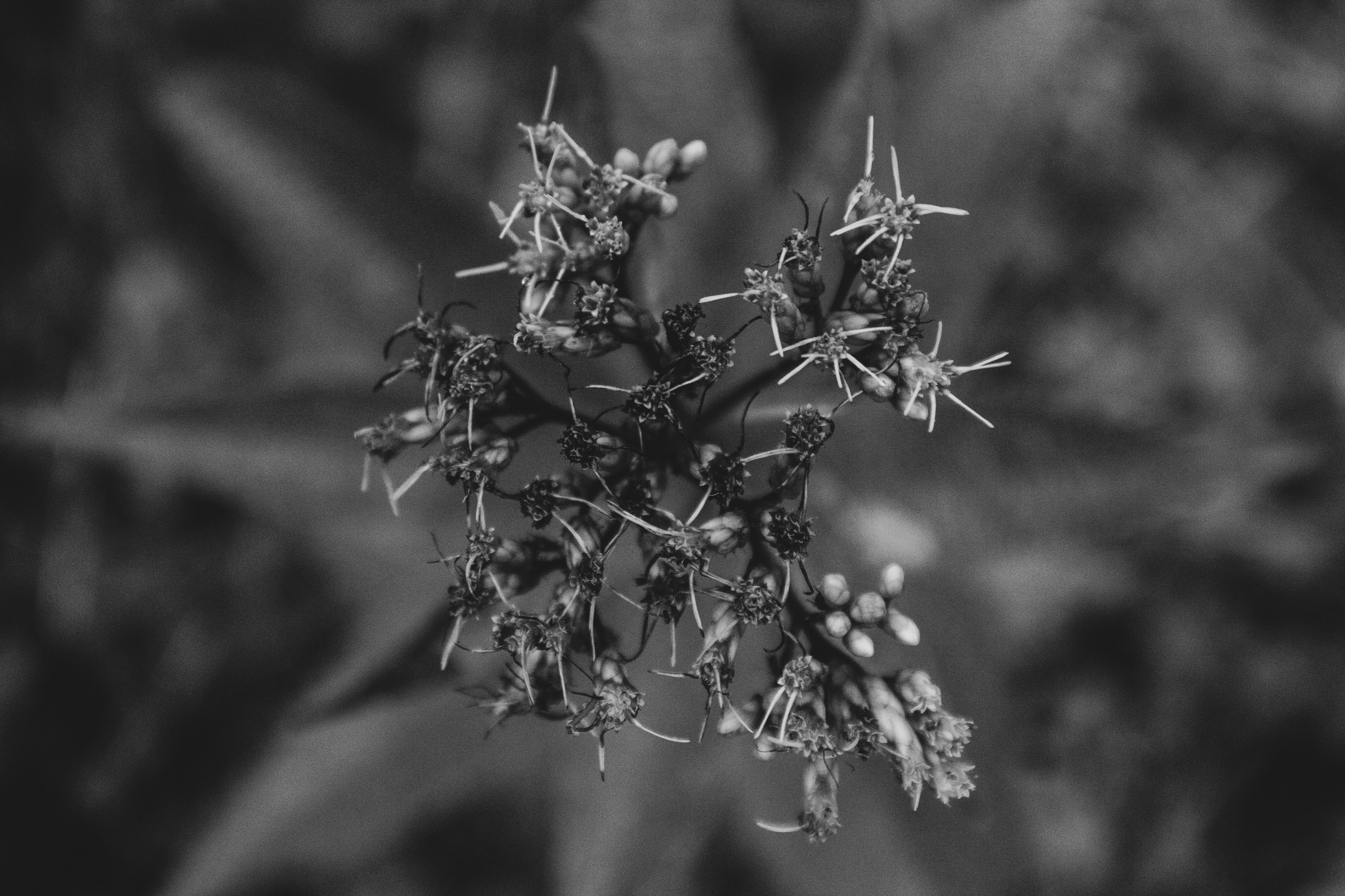 Photo by richiemortis