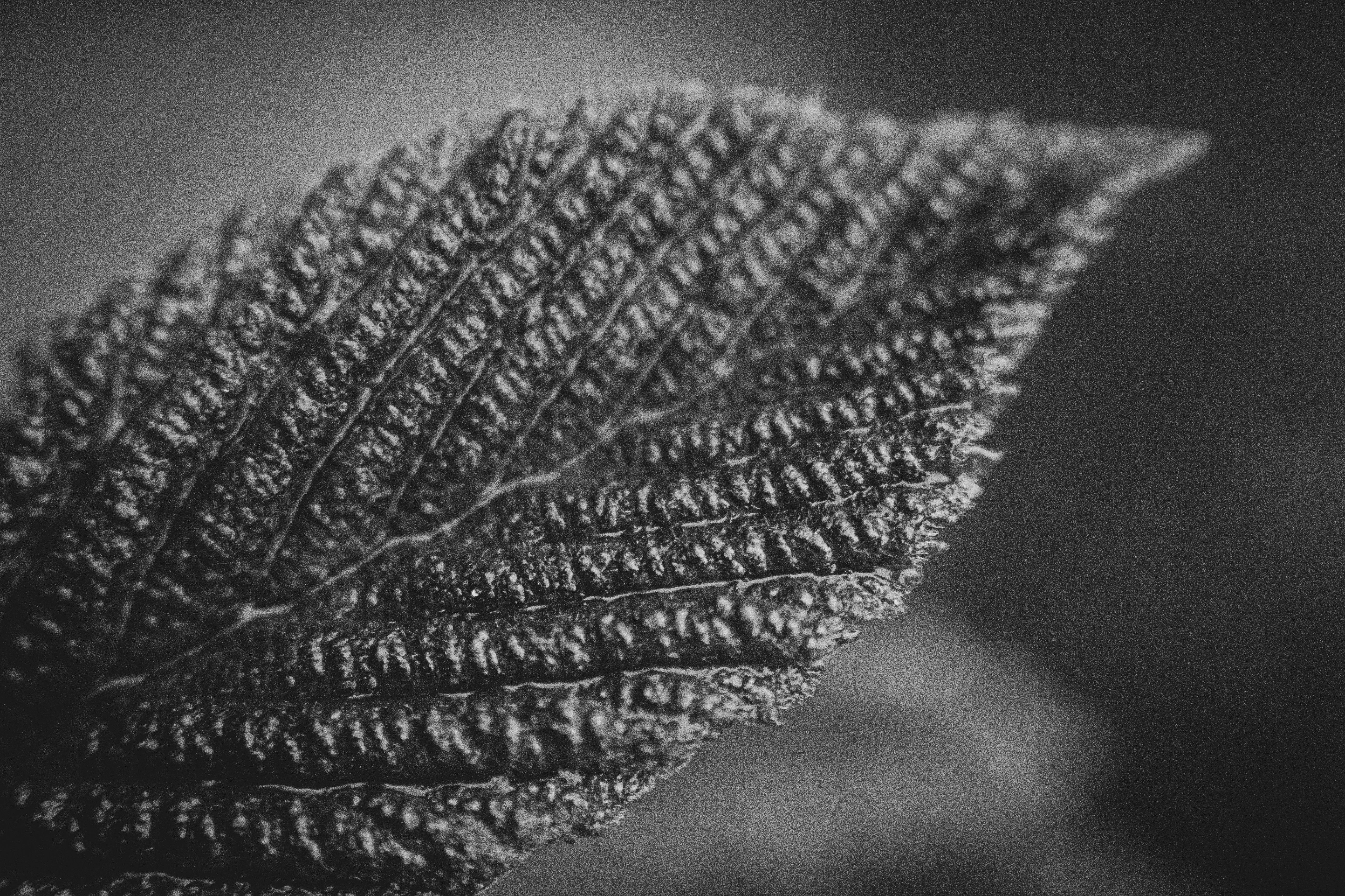 Photo by richiemortis