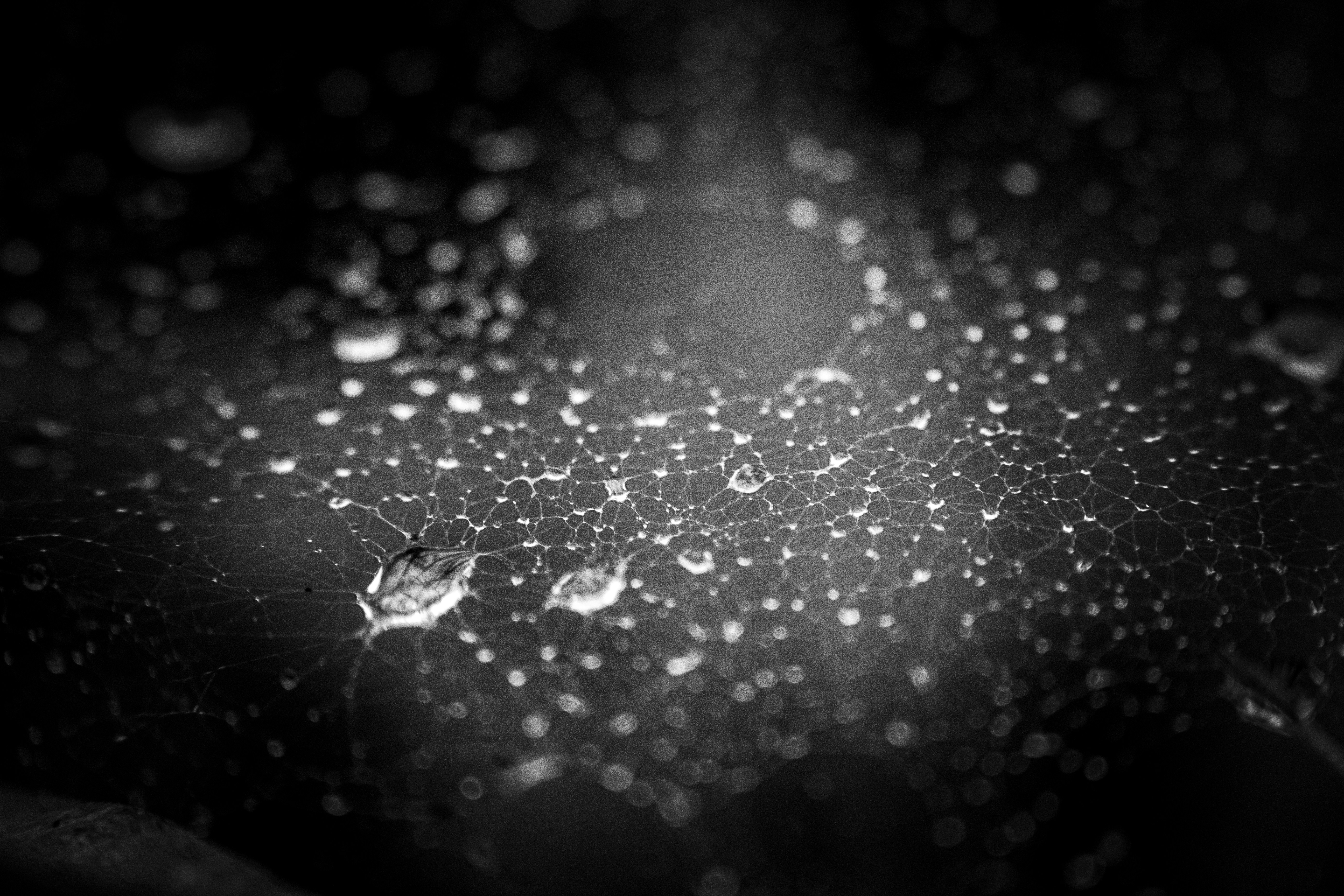 Photo by richiemortis