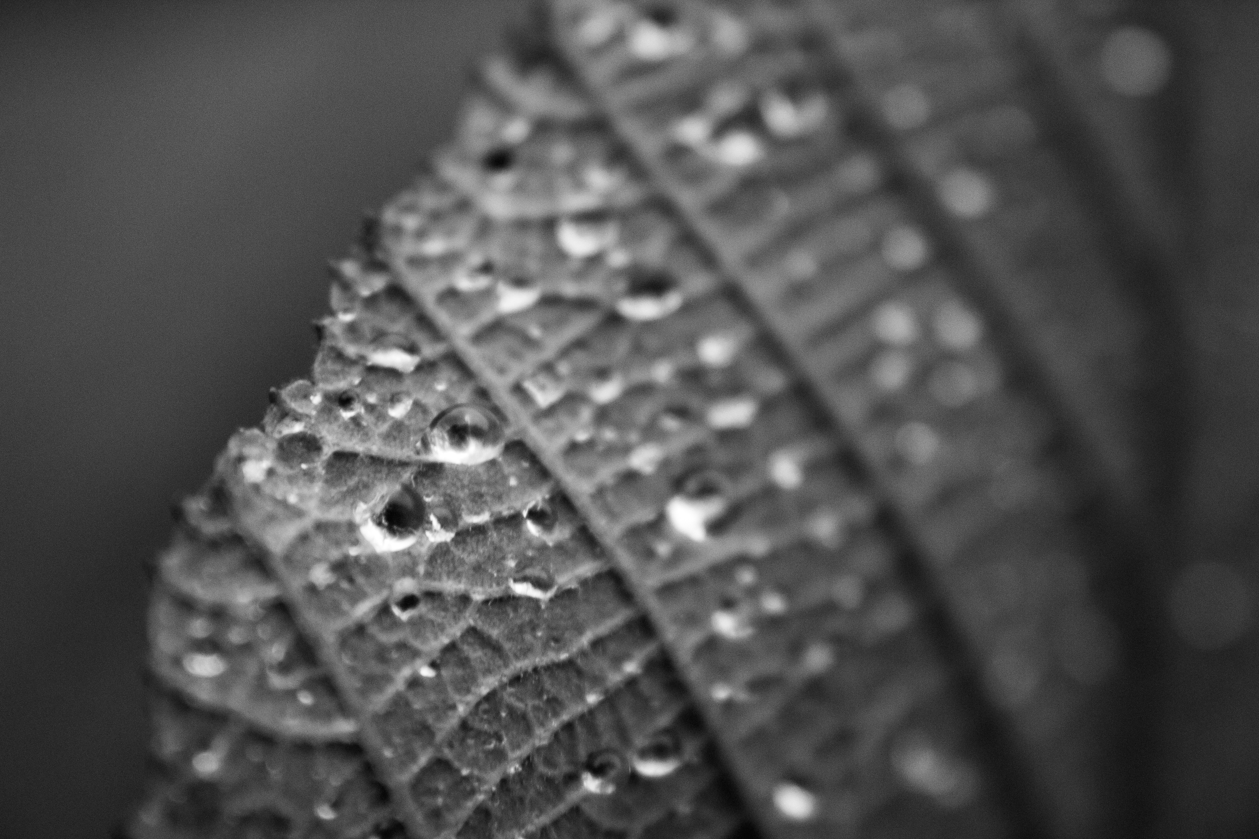 Photo by richiemortis