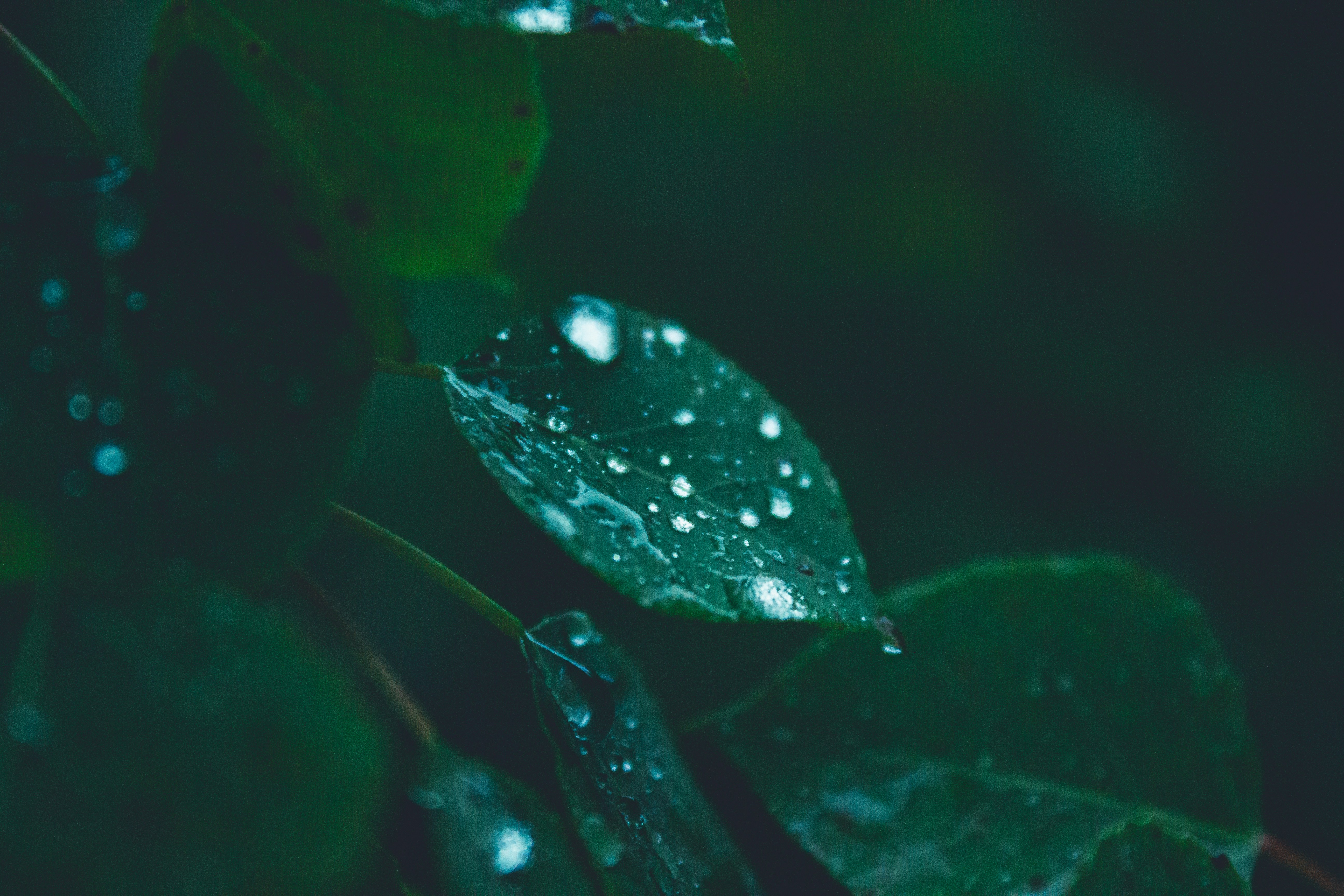 Photo by richiemortis