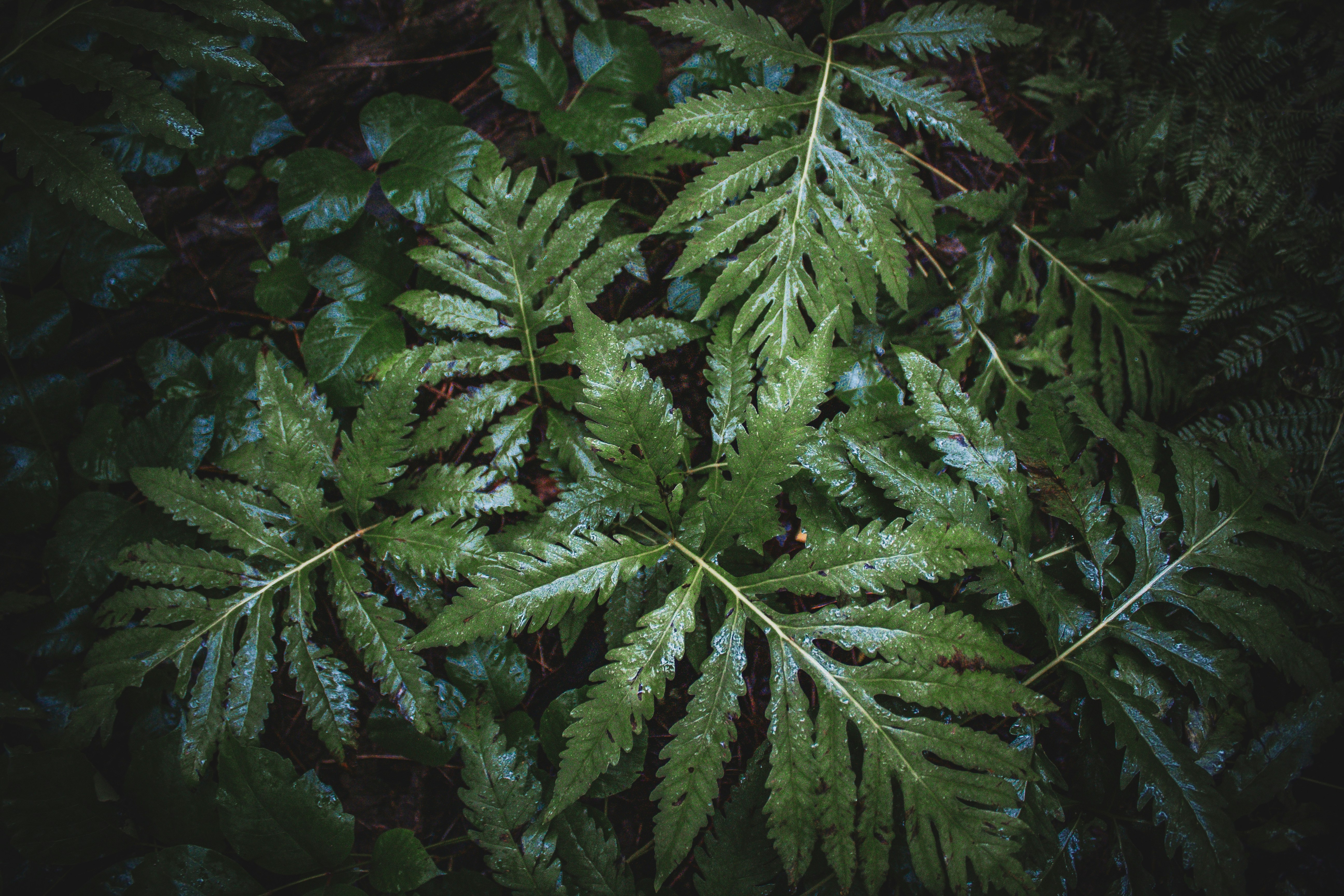 Photo by richiemortis