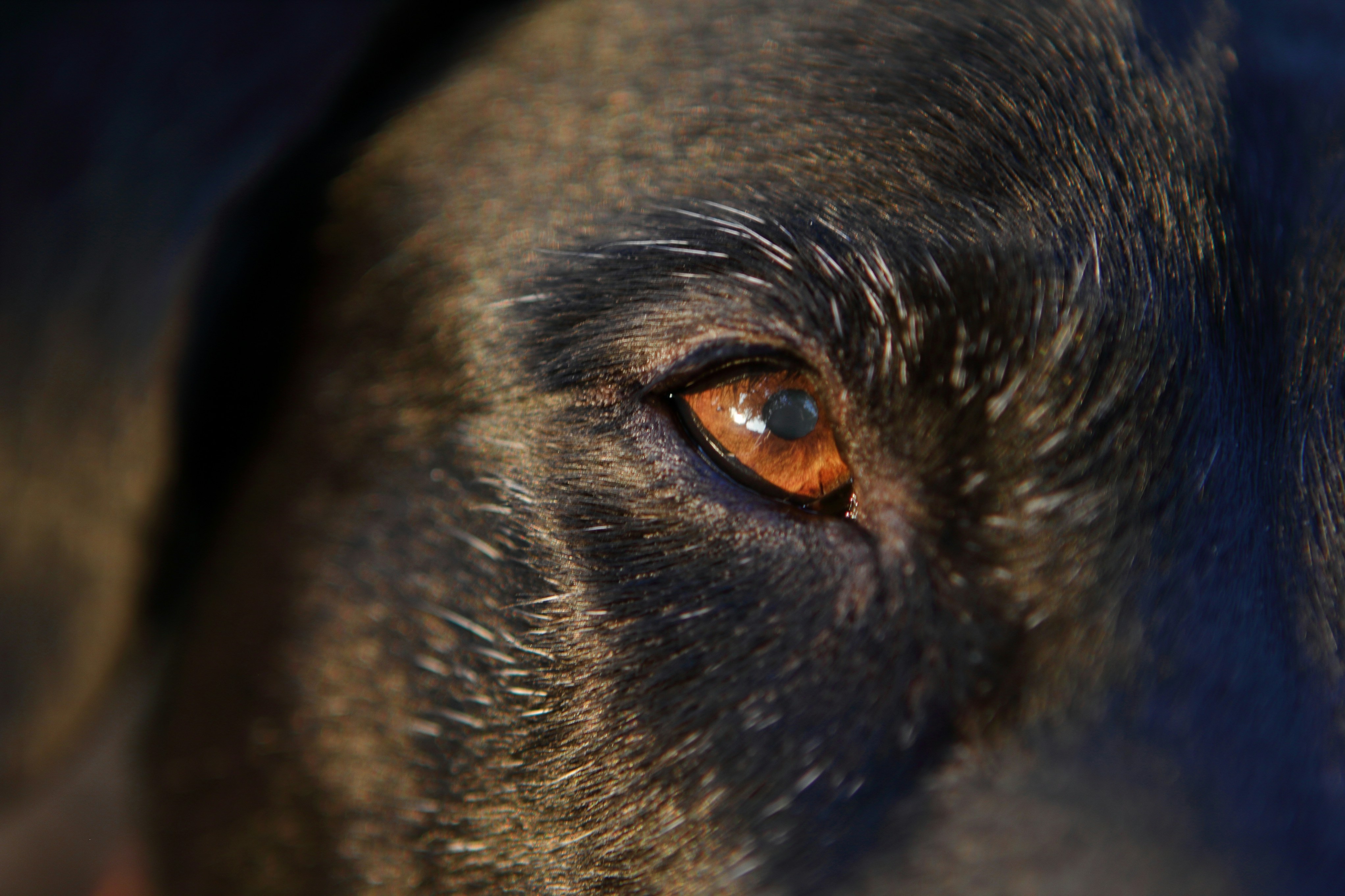 Photo by judy_beth_morris_idaho