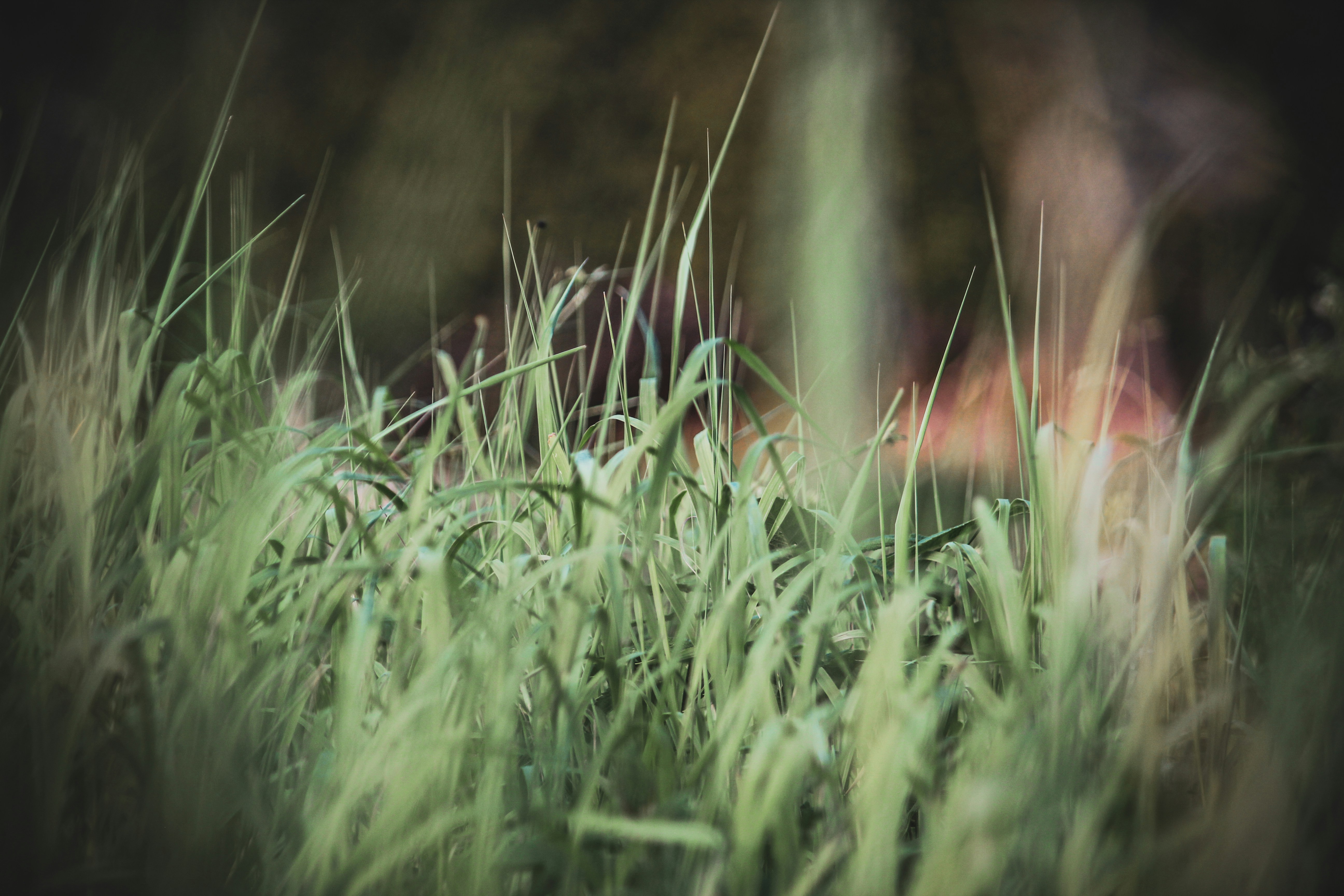 Photo by richiemortis