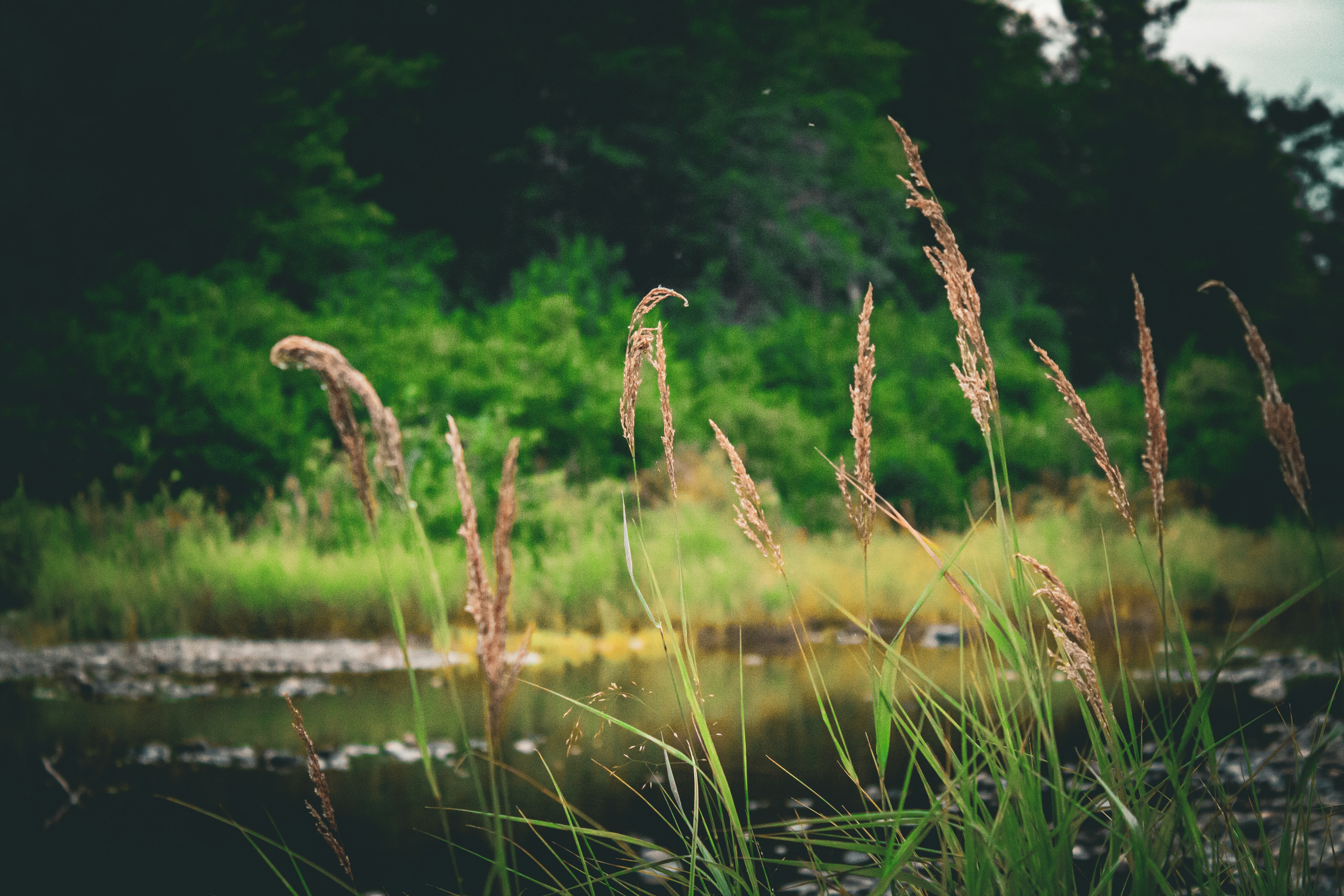 Photo by richiemortis