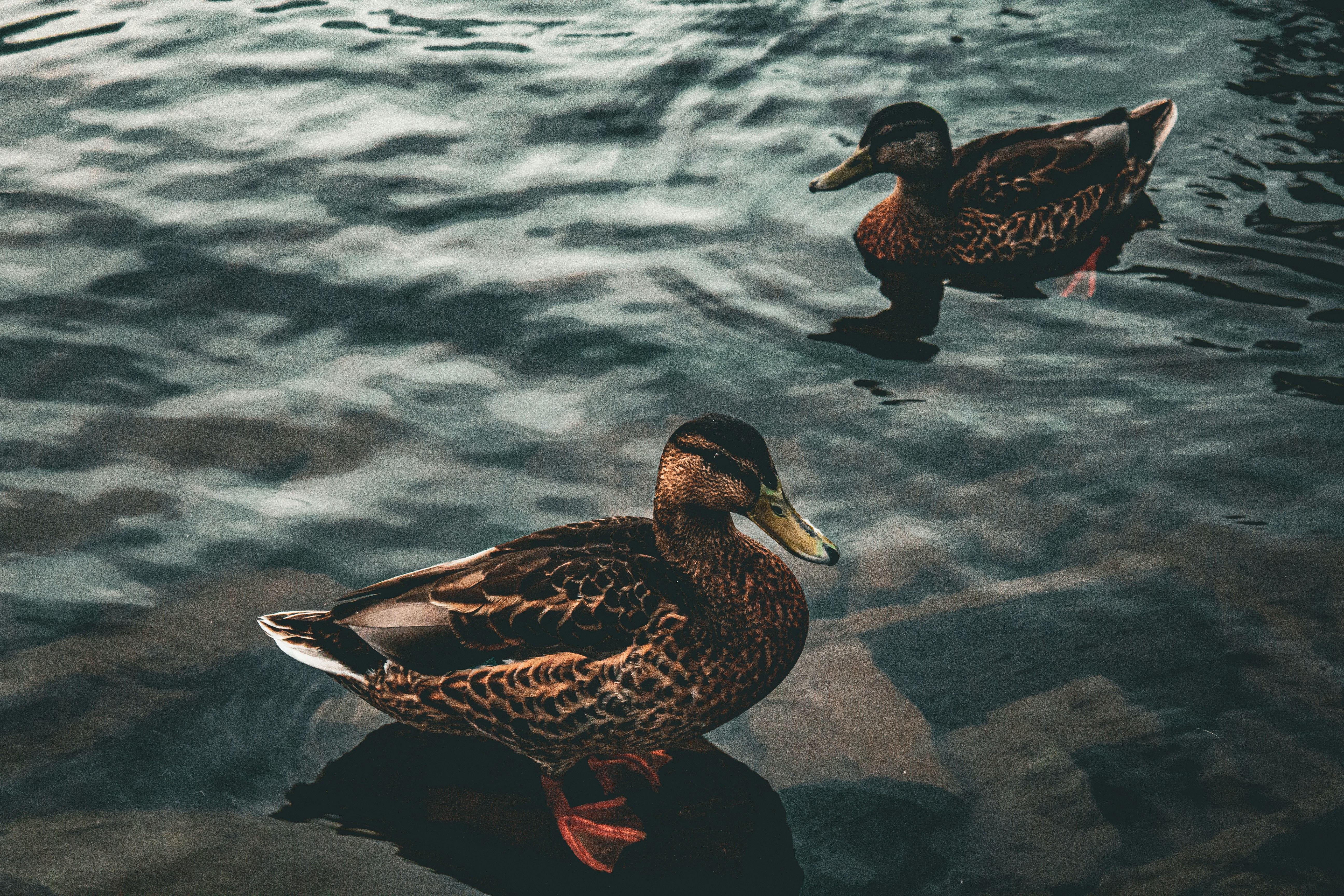 Photo by richiemortis