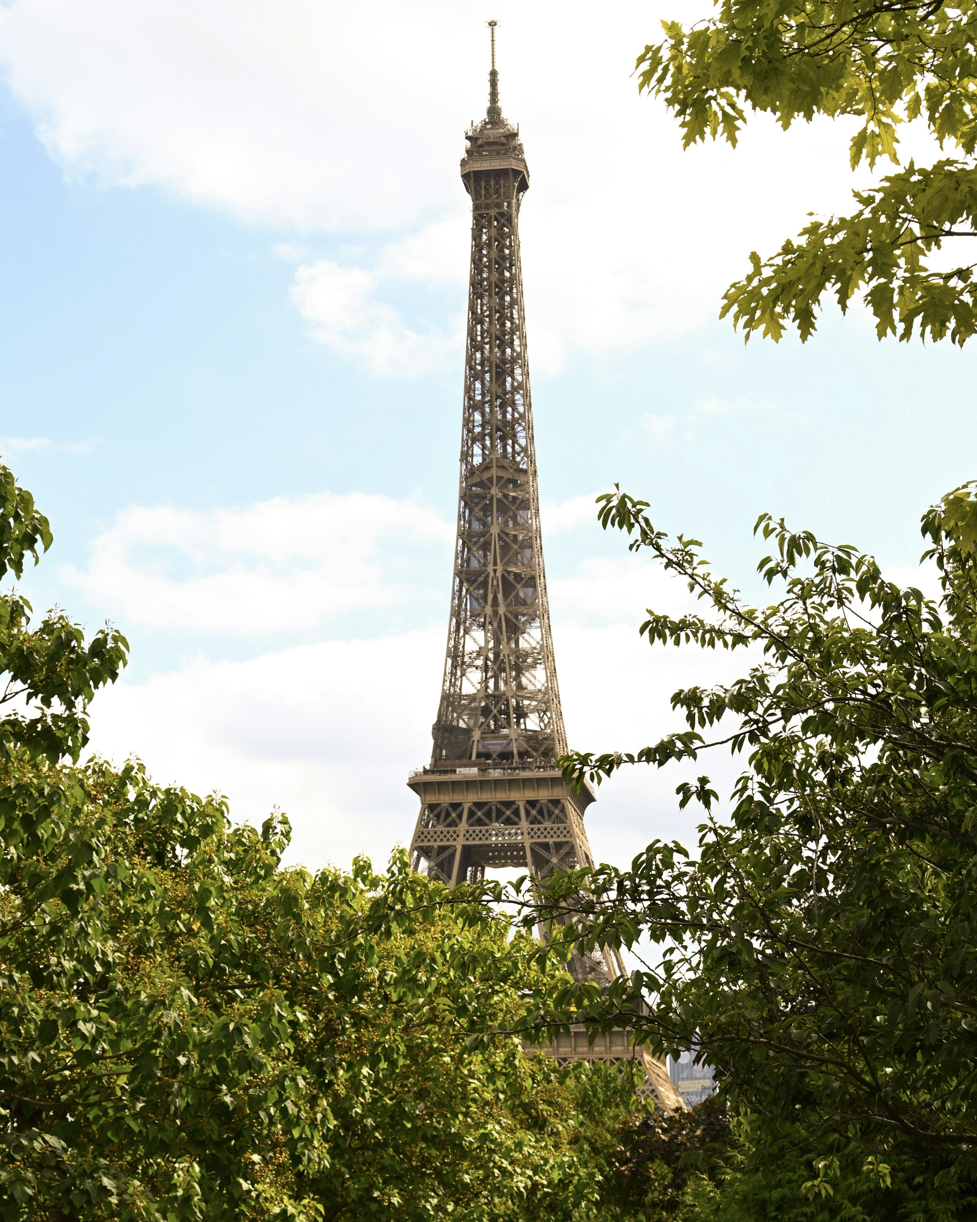 Photo by mortezakhalili