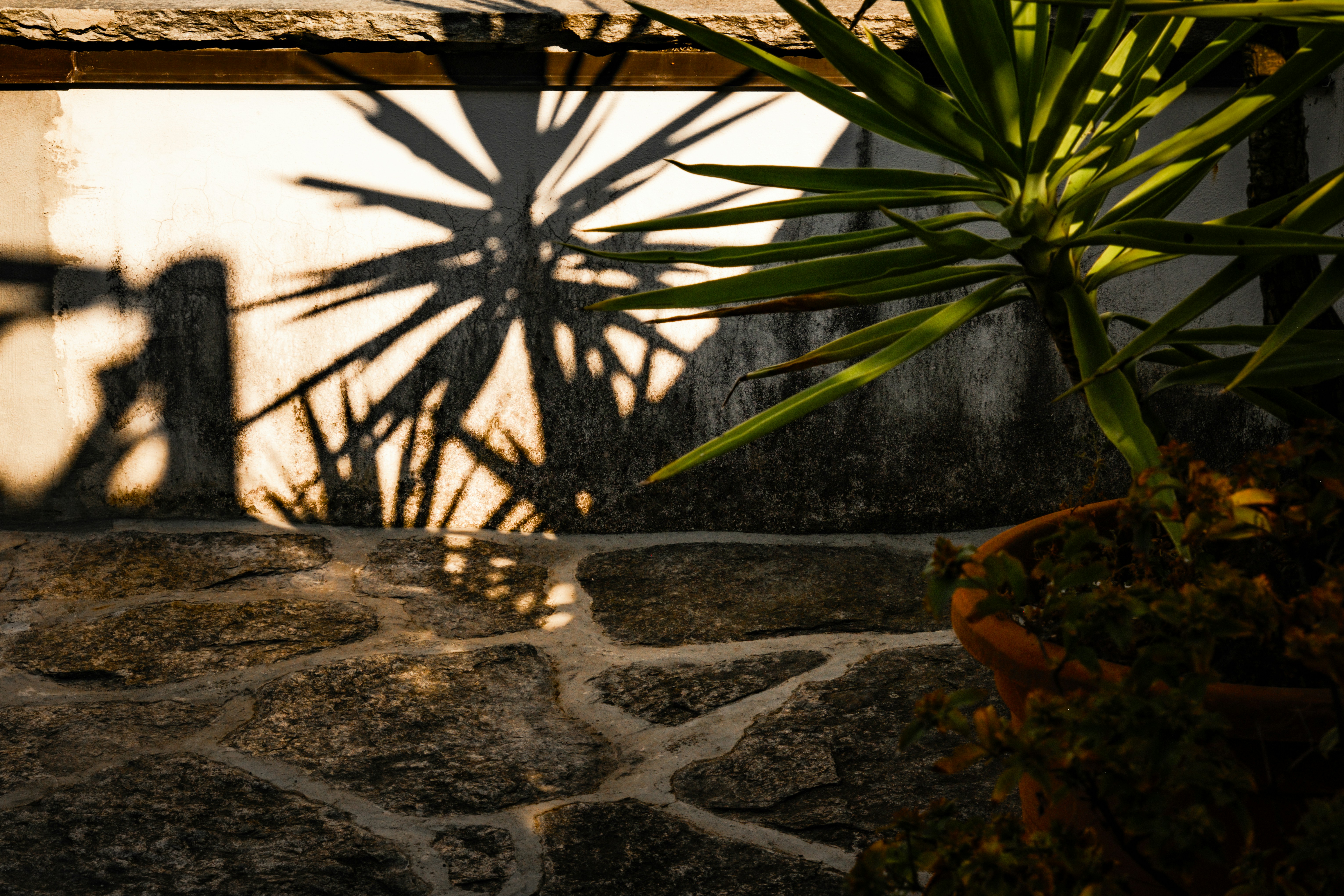 Photo by francesco_ungaro