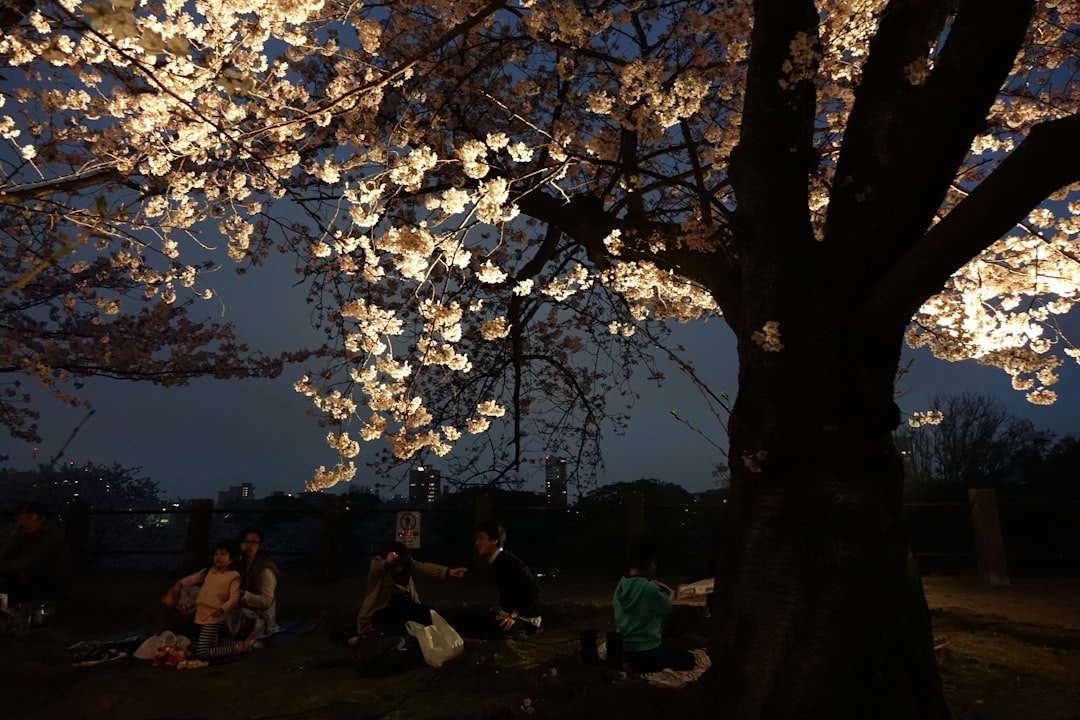 A group of people sitting under a tree at night,