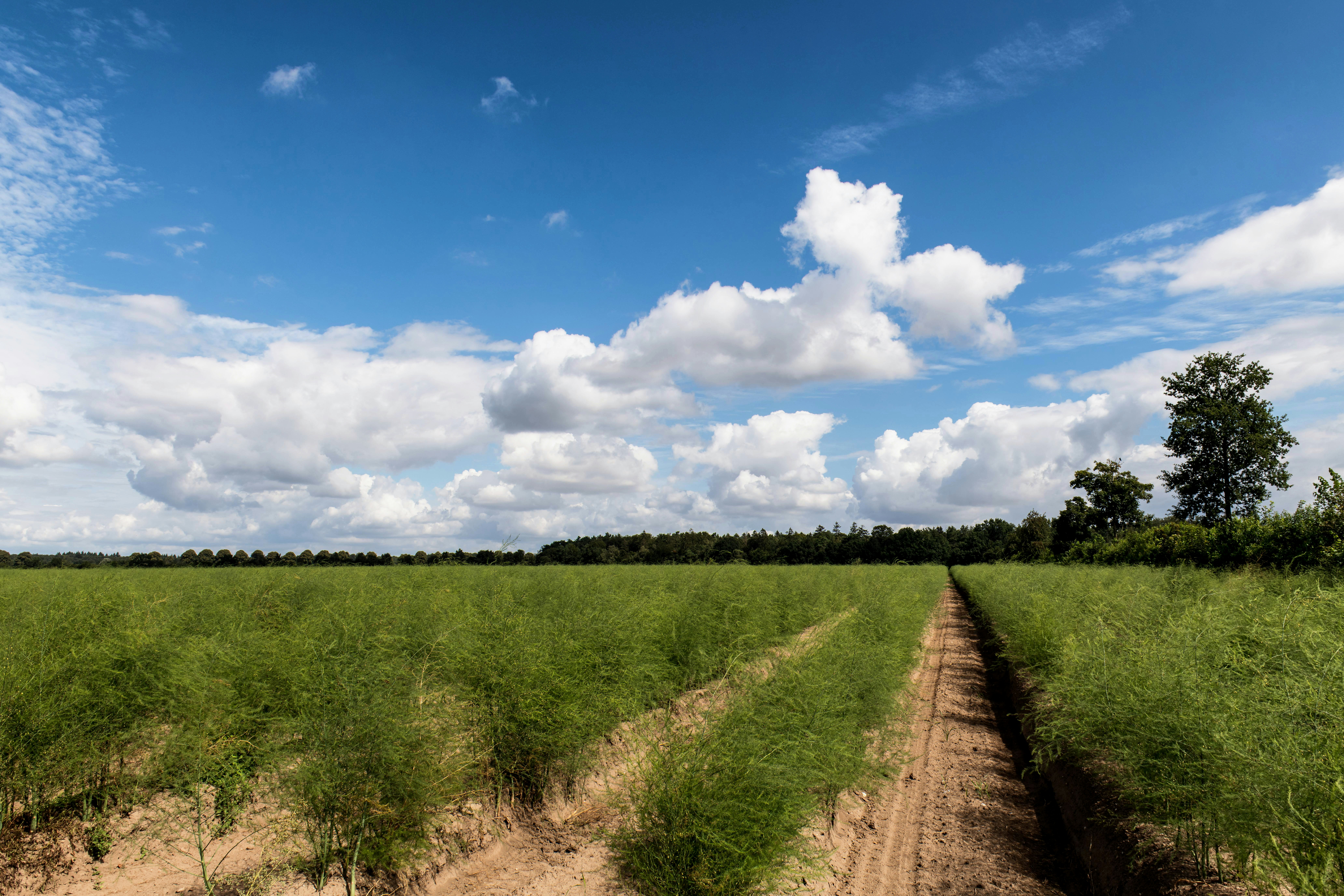 Photo by hamburgmeinefreundin