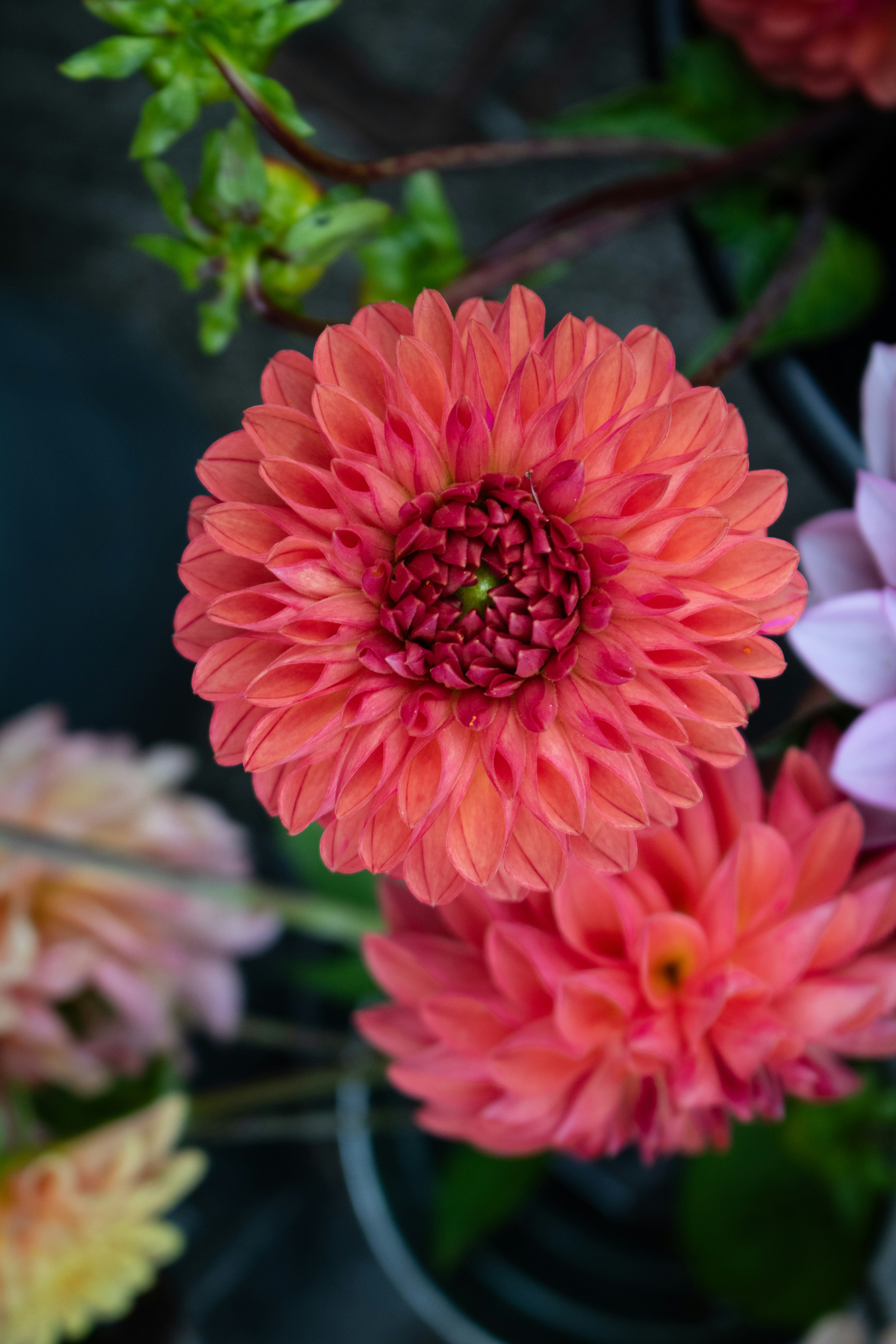 Photo by zoshuacolah