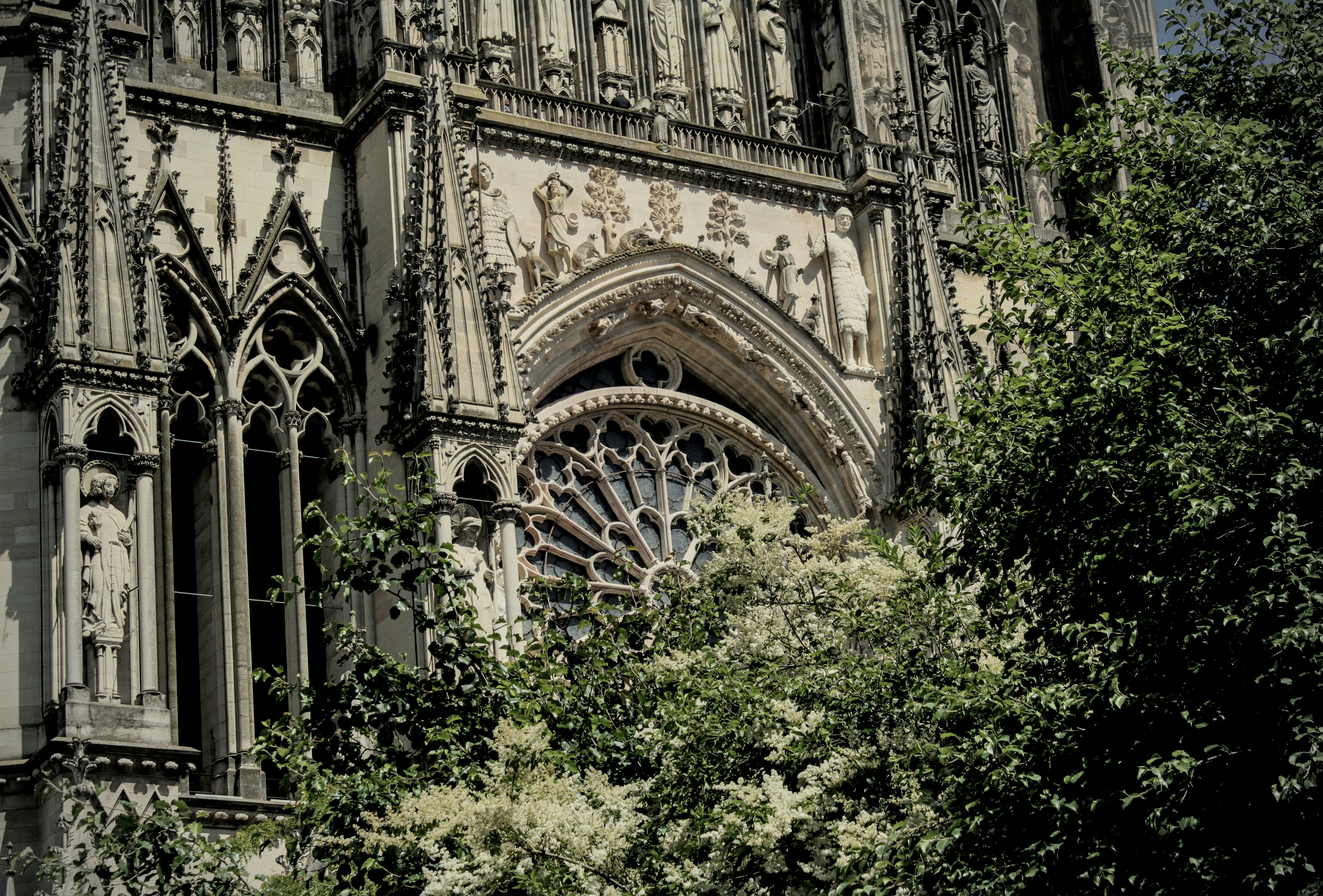 Photo by bcjefferson