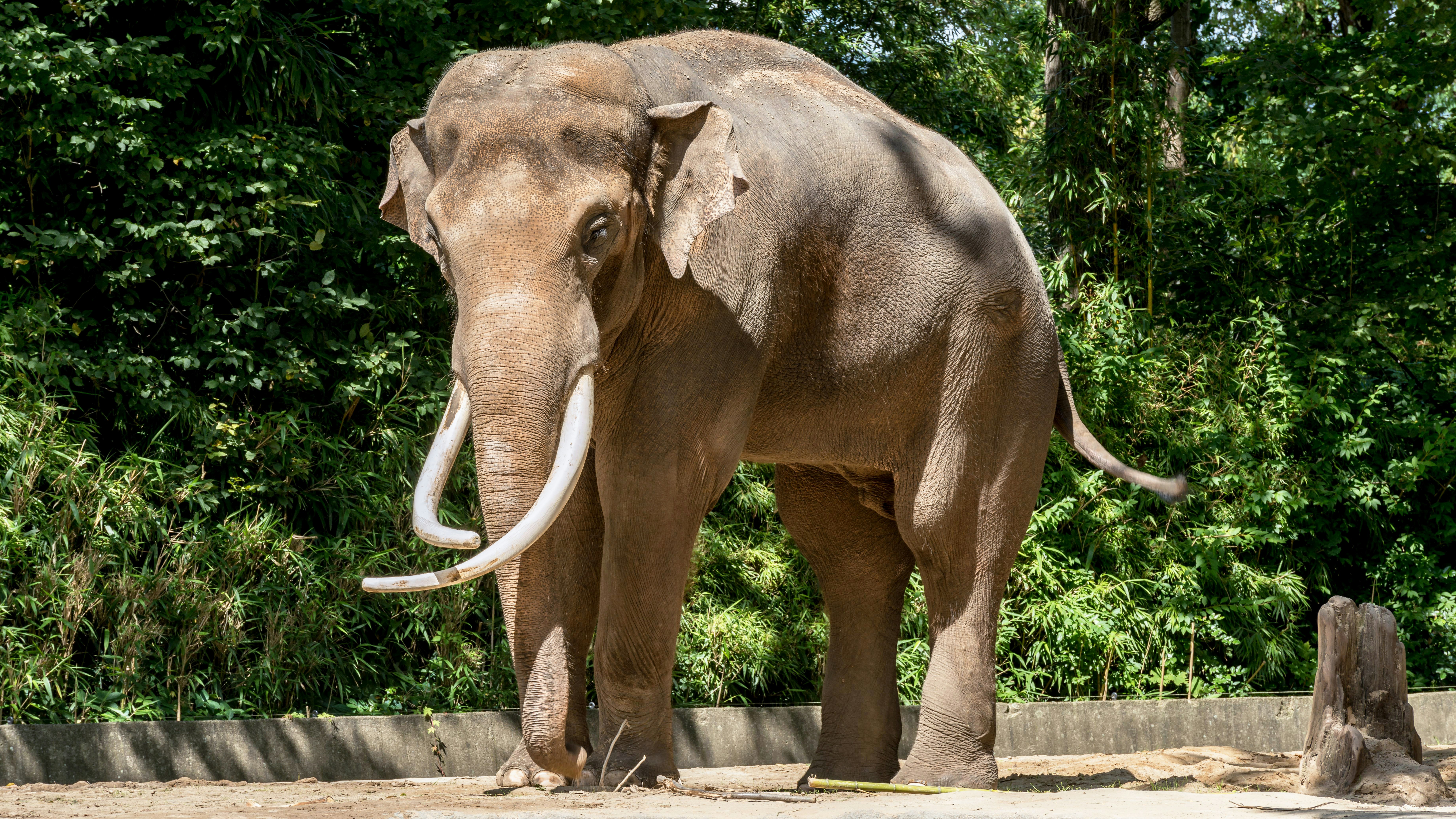 Photo by hamburgmeinefreundin