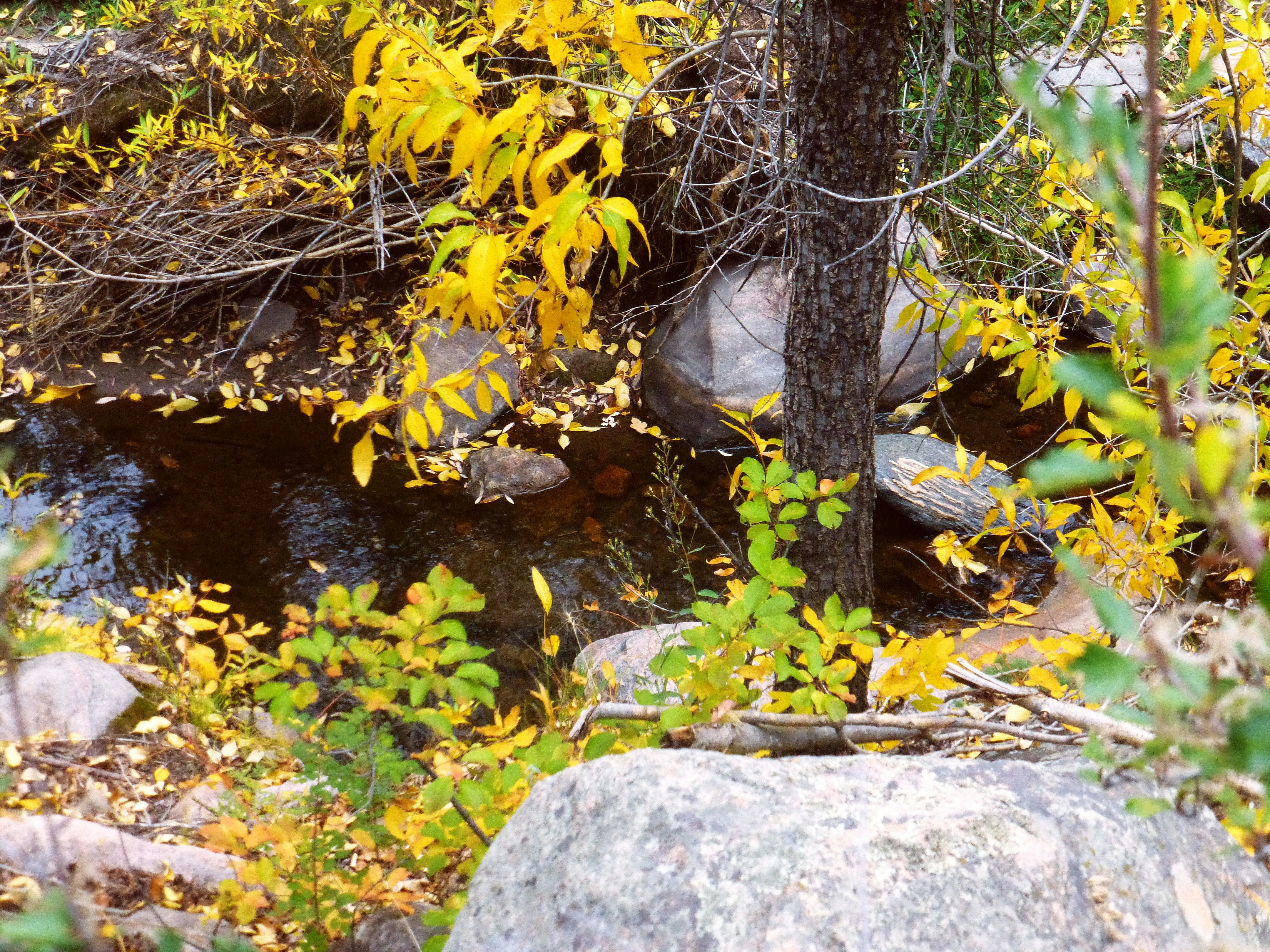 Photo by deniselynn_4