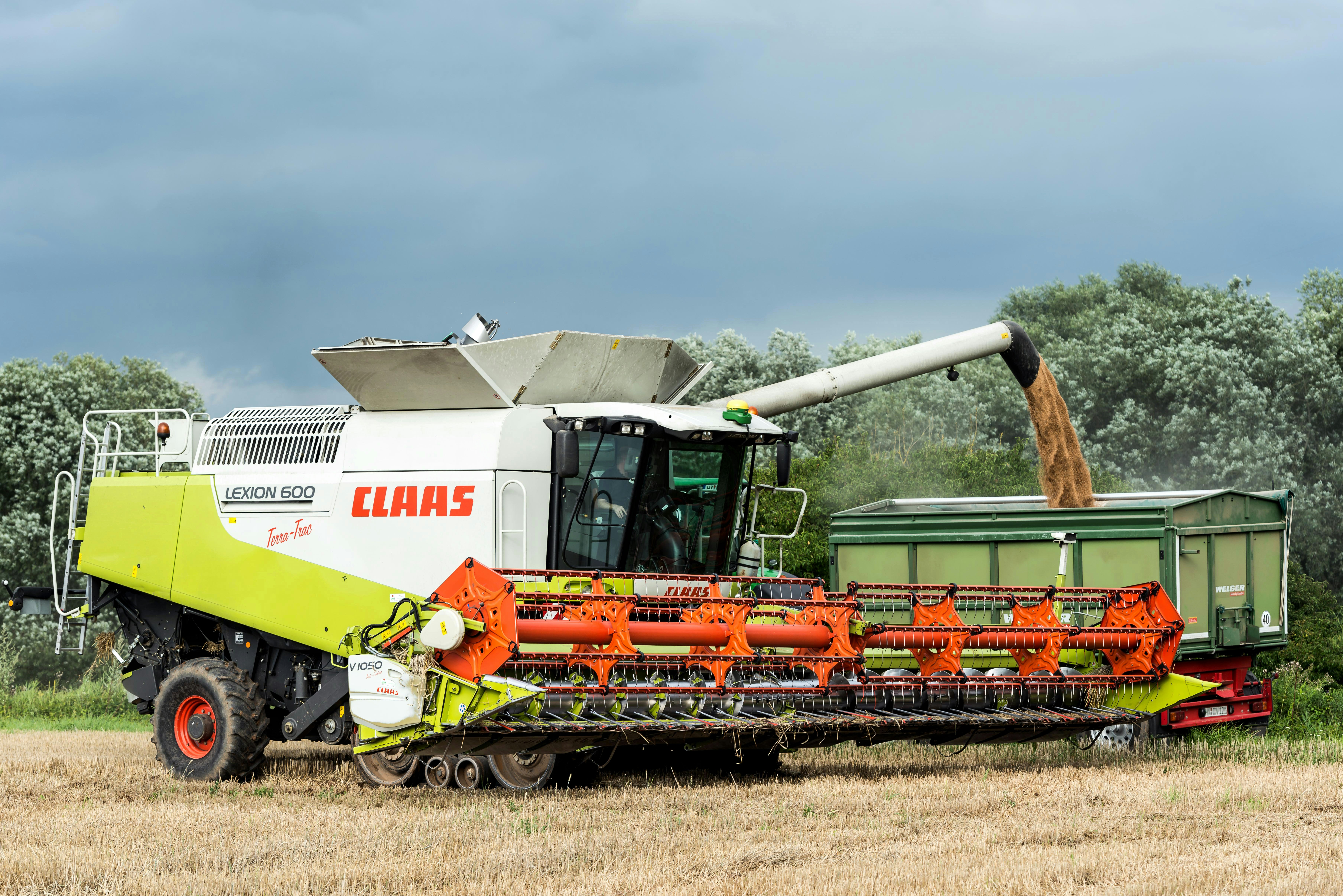 Photo by hamburgmeinefreundin