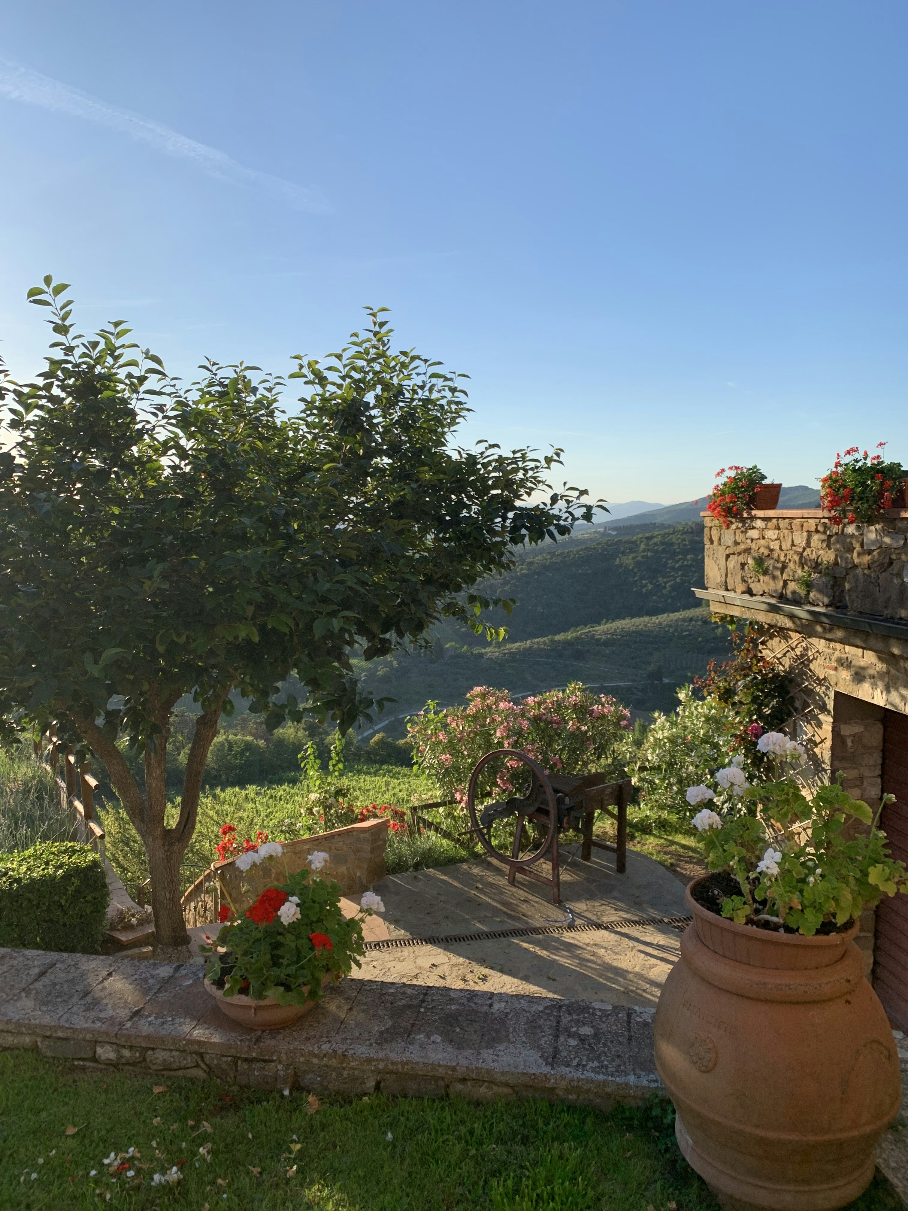 Historic Italian villa hotel with terrace overlooking Florence