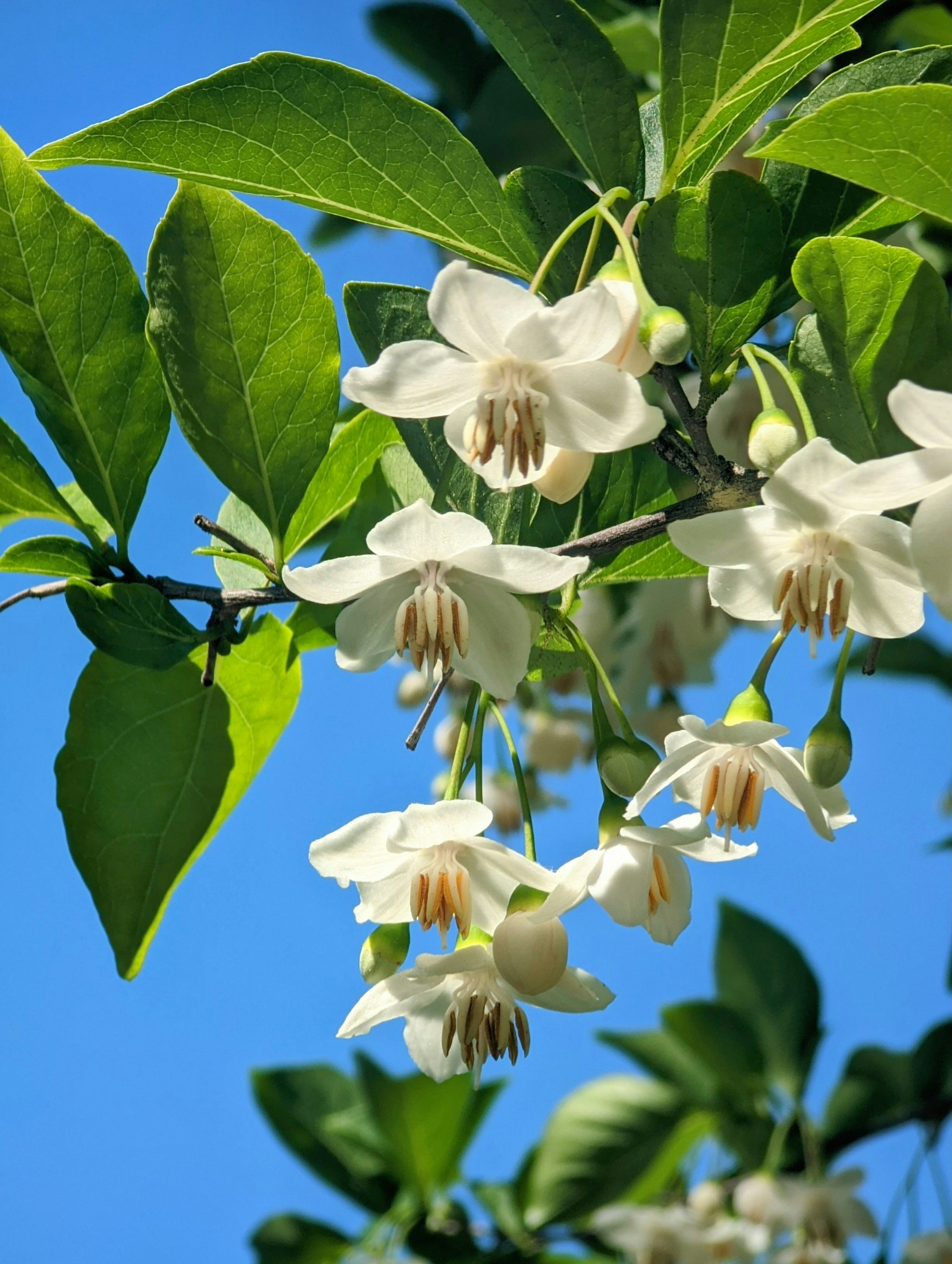 Incheon – Accommodation & Where to Stay