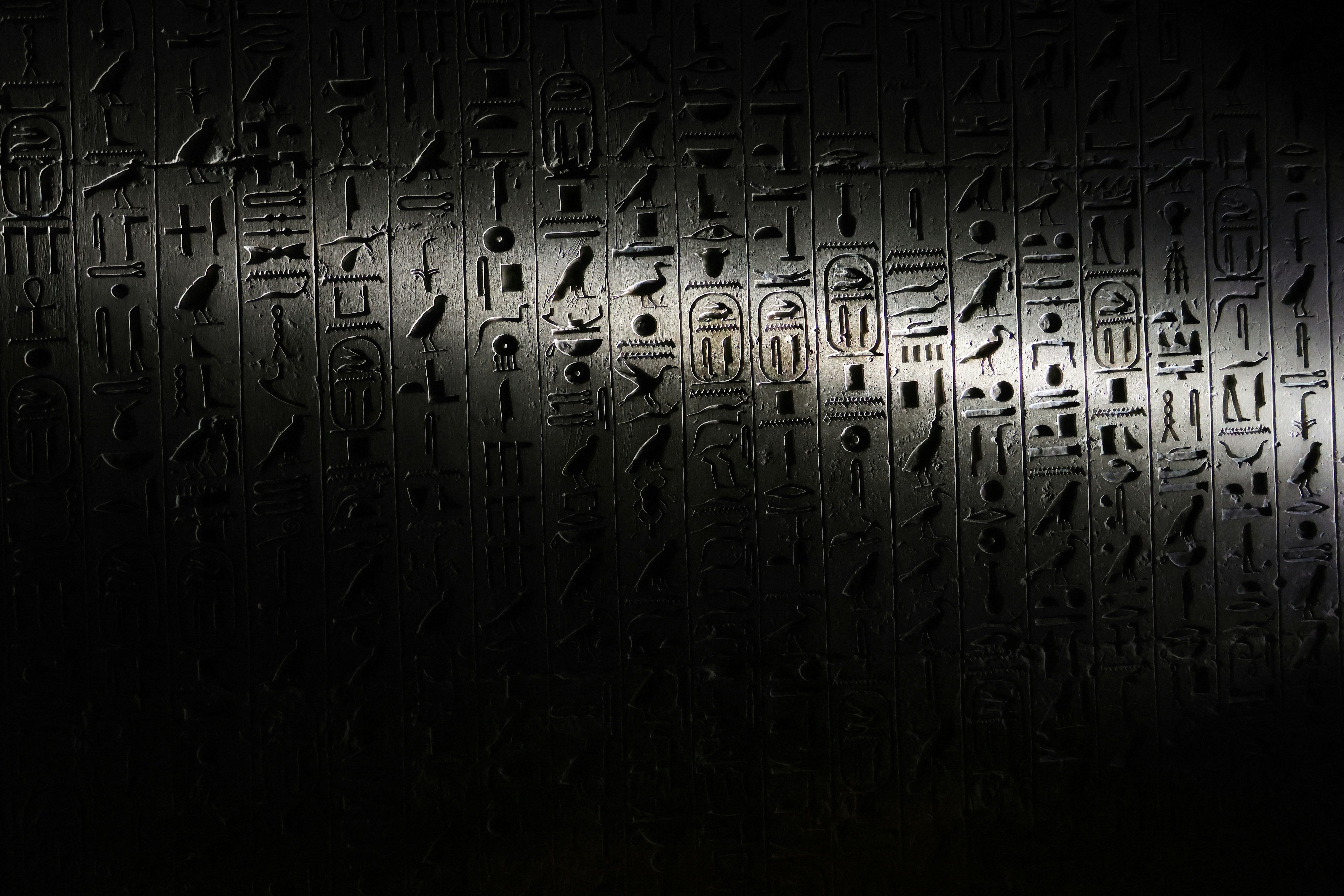 Ancient Egyptian golden artifacts and hieroglyphs, dark museum display, dramatic spotlighting, rich gold tones