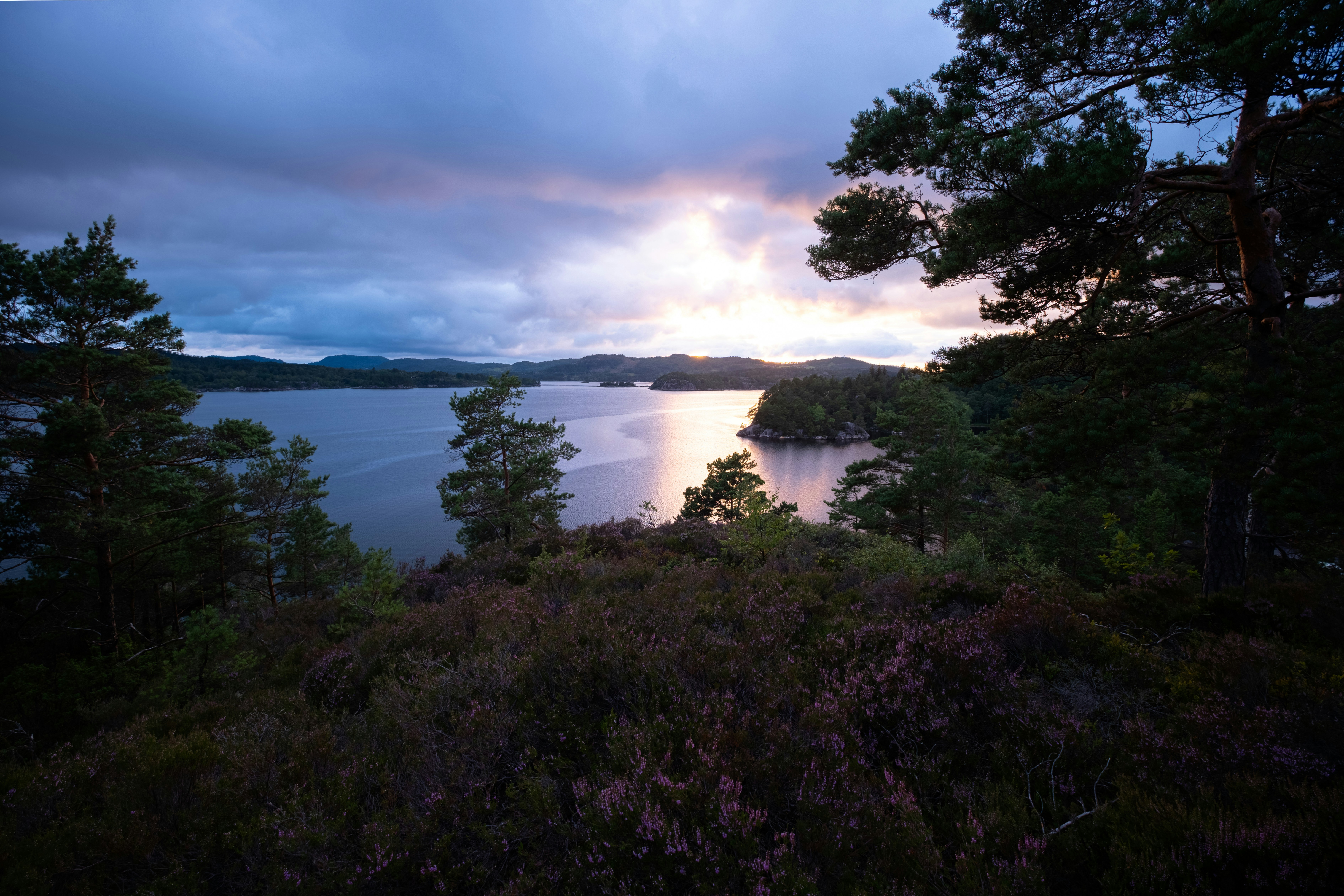 A view of a body of water from a hill