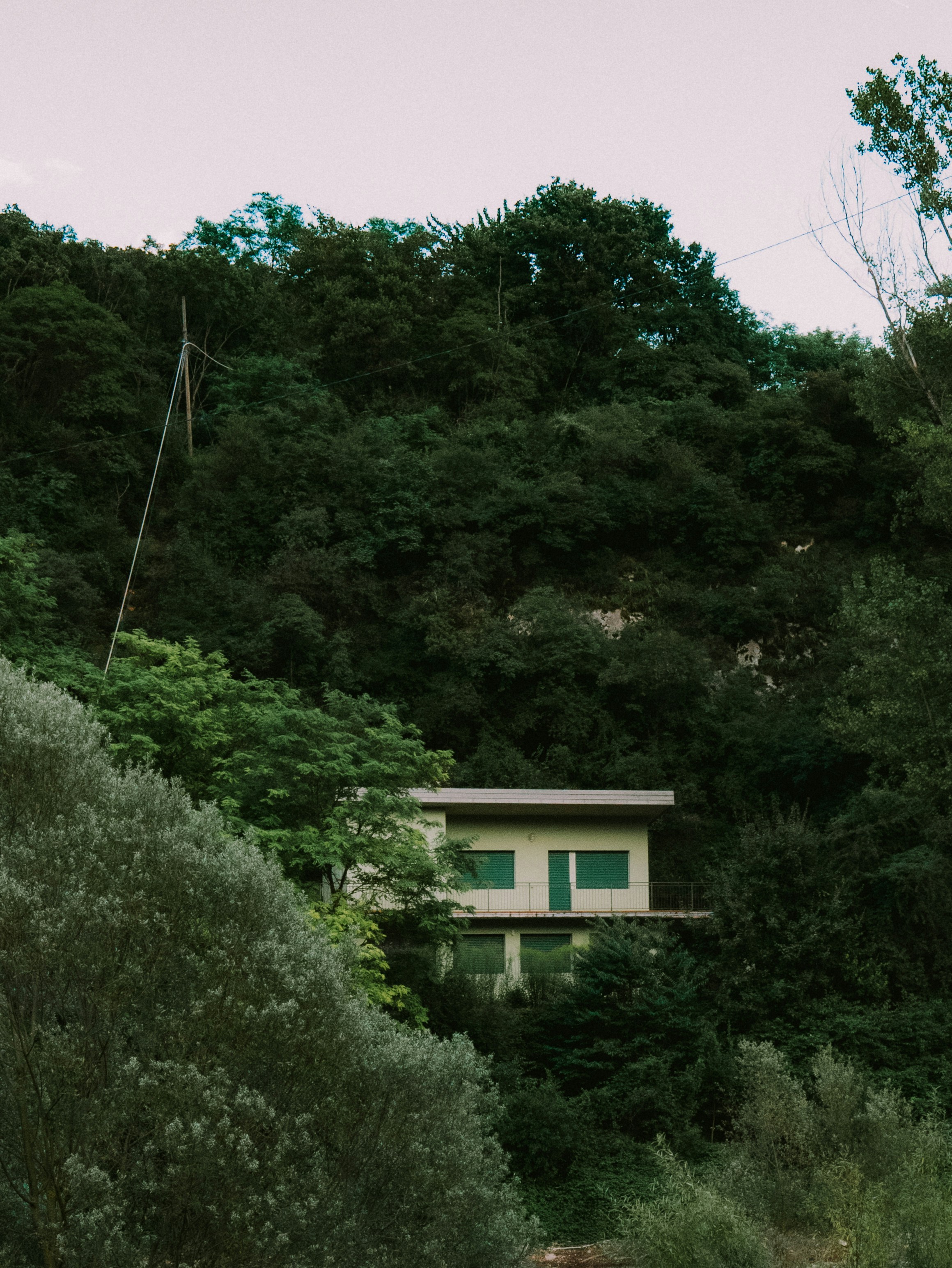 Photo by miraxh