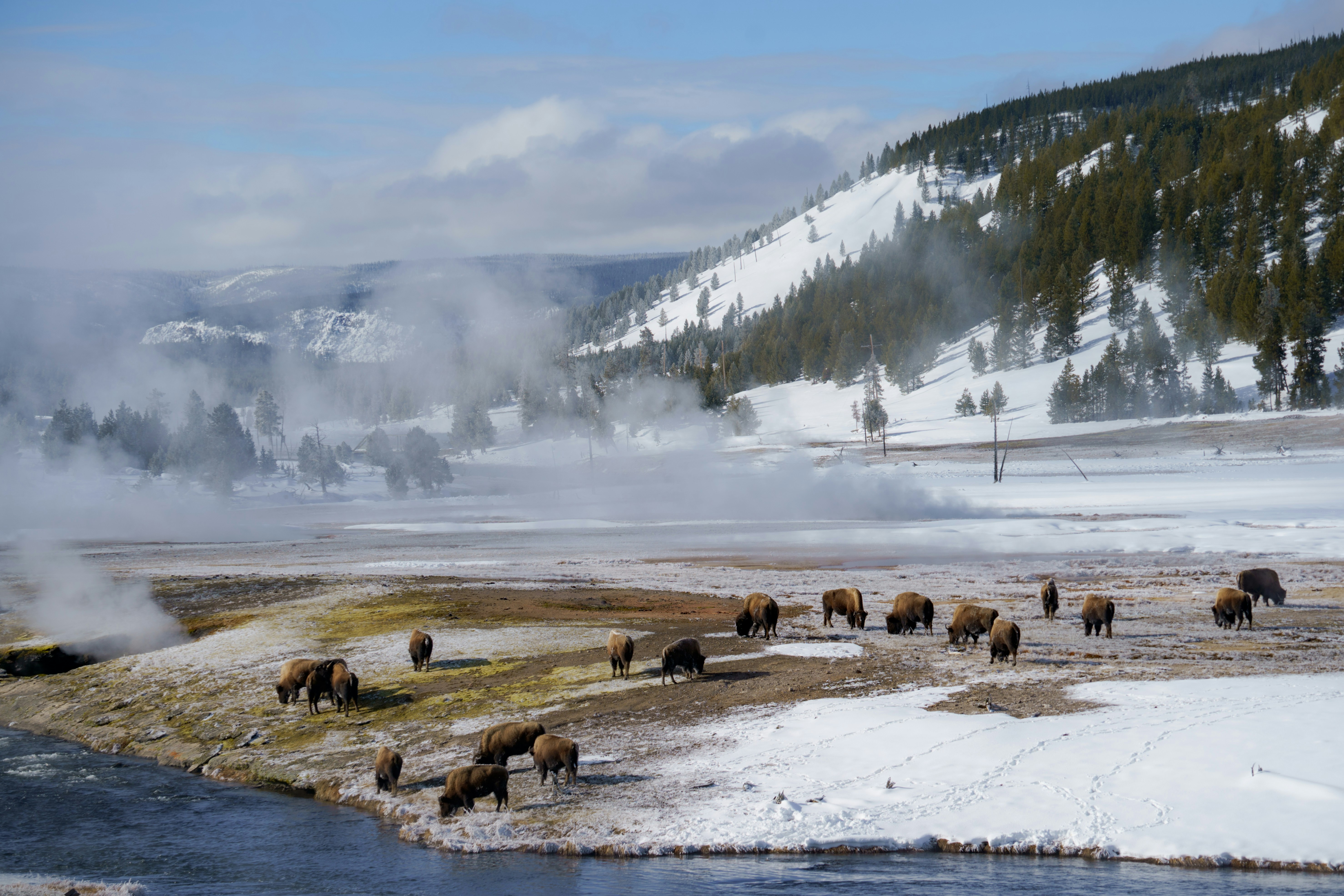 YELLOWSTONE NATIONAL PARK passport office