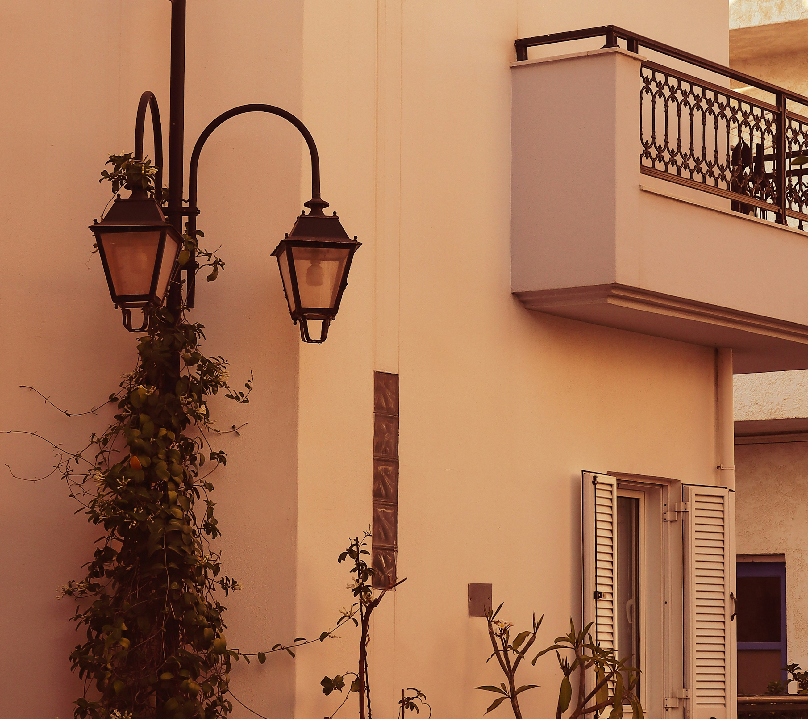 Photo by dianarafira