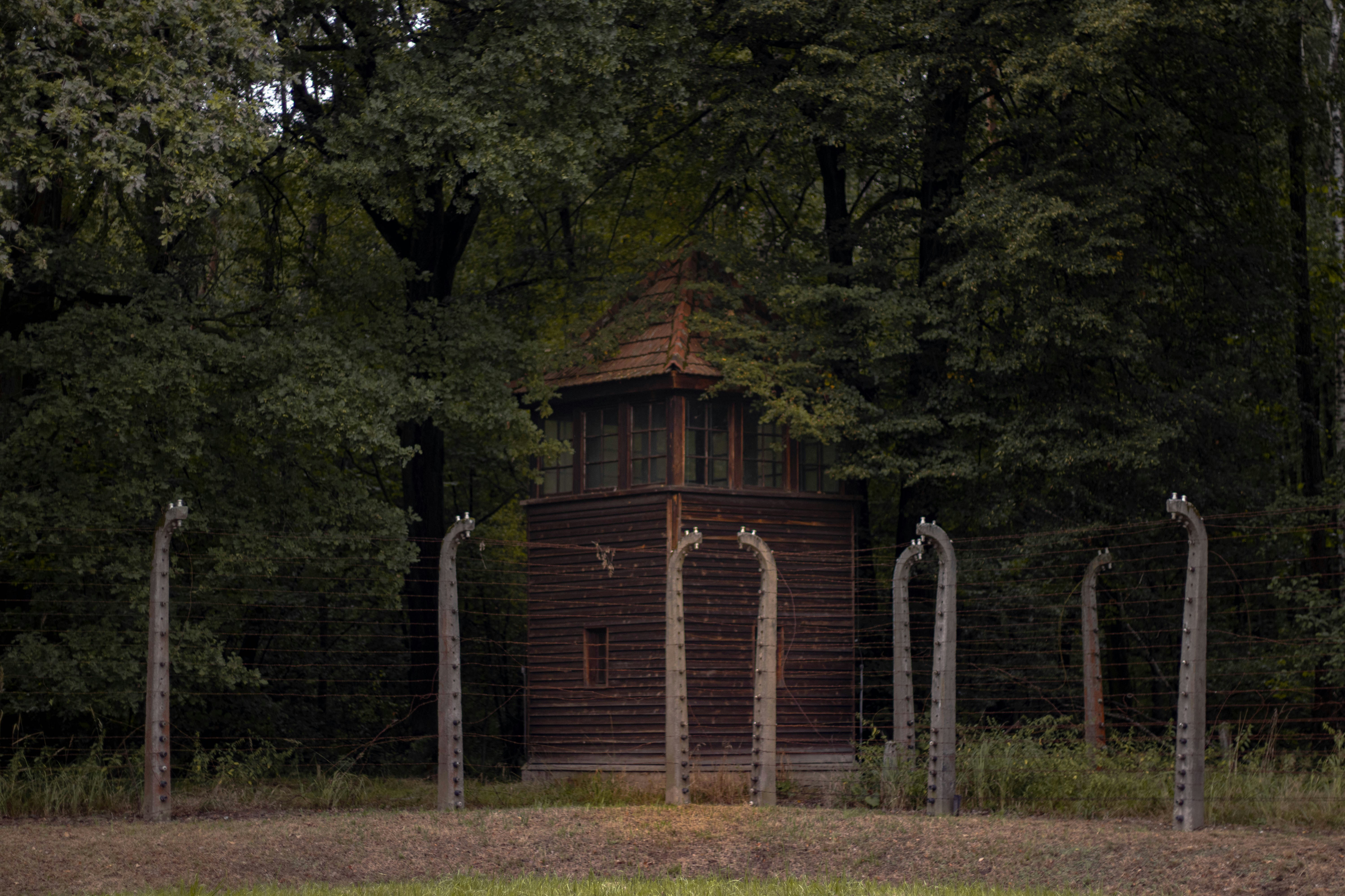 A small building in the middle of a forest