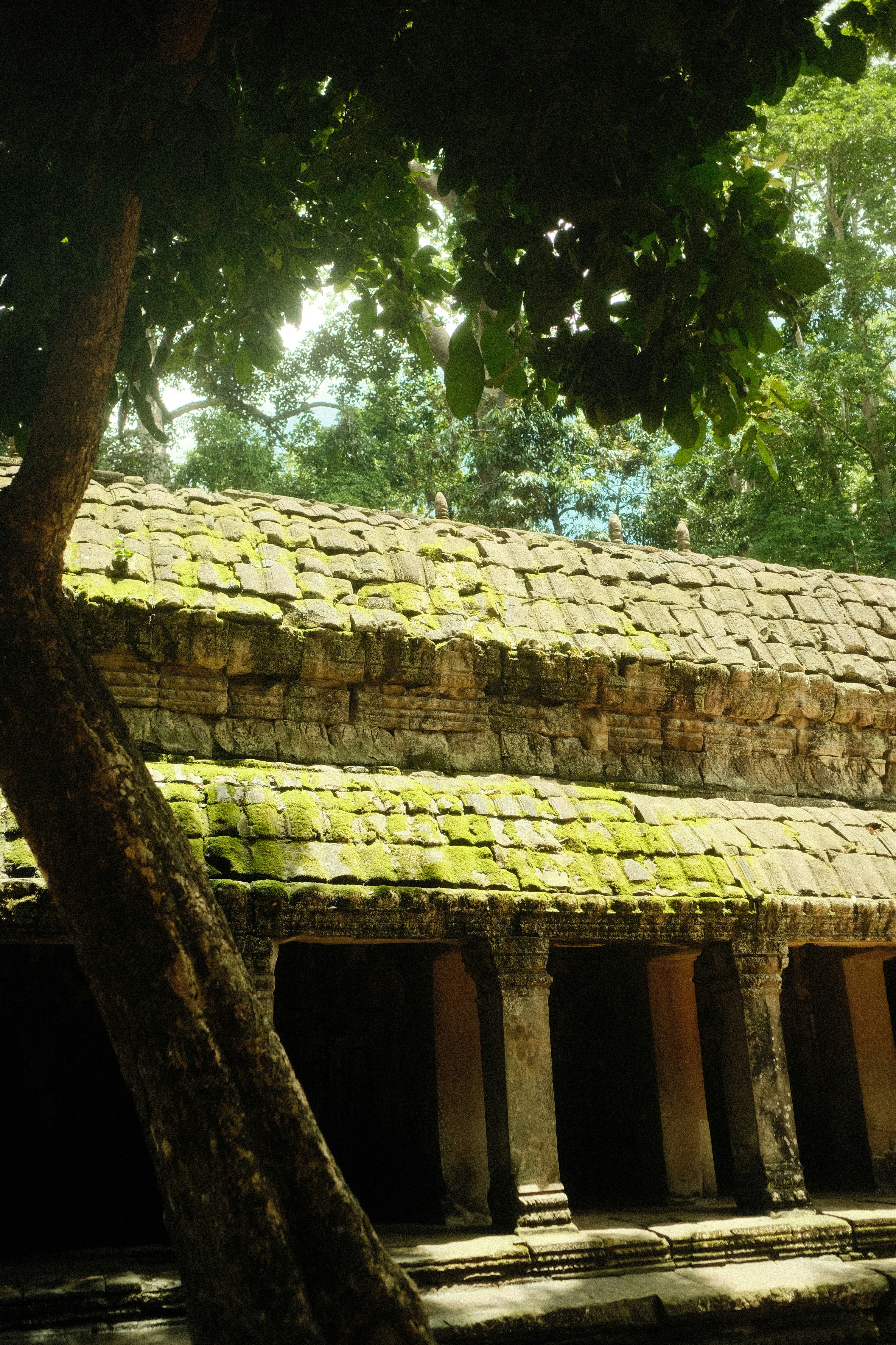 A stone building with a tree in front of it