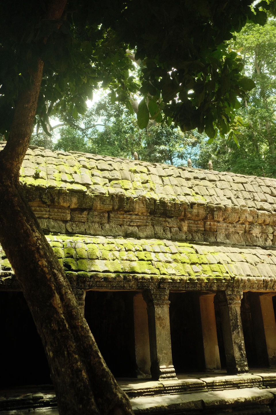The image depicts a temple nestled within a lush, verdant forest. The temple's roof is covered in moss and lichen, adding an element of antiquity to its appearance. The temple itself features multiple levels of stone columns that support the structure, creating a sense of grandeur and history. The temple is surrounded by trees, their leaves forming a canopy overhead, providing shade for those who visit or live within the temple complex.