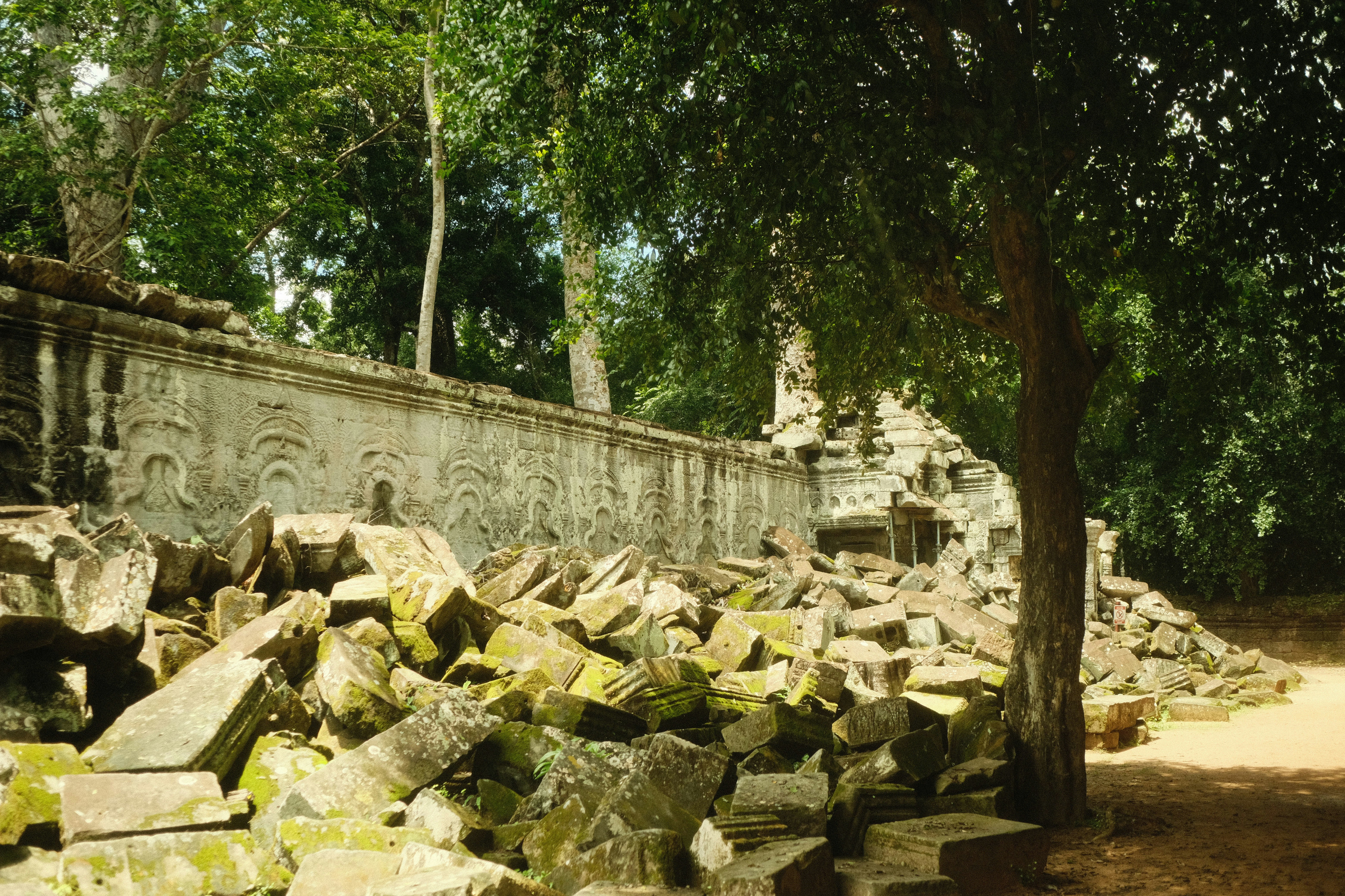 A large pile of rocks sitting next to a tree