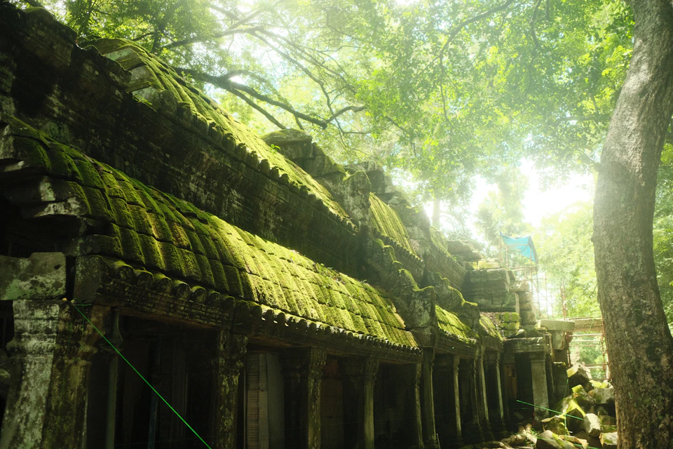 The image depicts a temple nestled within a lush, verdant forest. The temple's roof is covered in moss and lichen, adding an element of antiquity to its appearance. The temple itself features multiple levels of stone walls adorned with intricate carvings, showcasing the architectural prowess of the past. The temple is surrounded by trees and foliage, creating a serene and tranquil atmosphere.